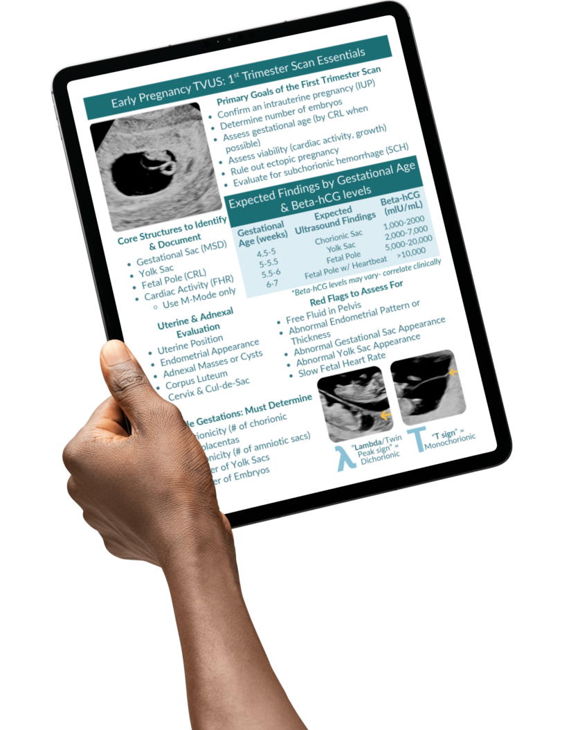 essentials mockup.png