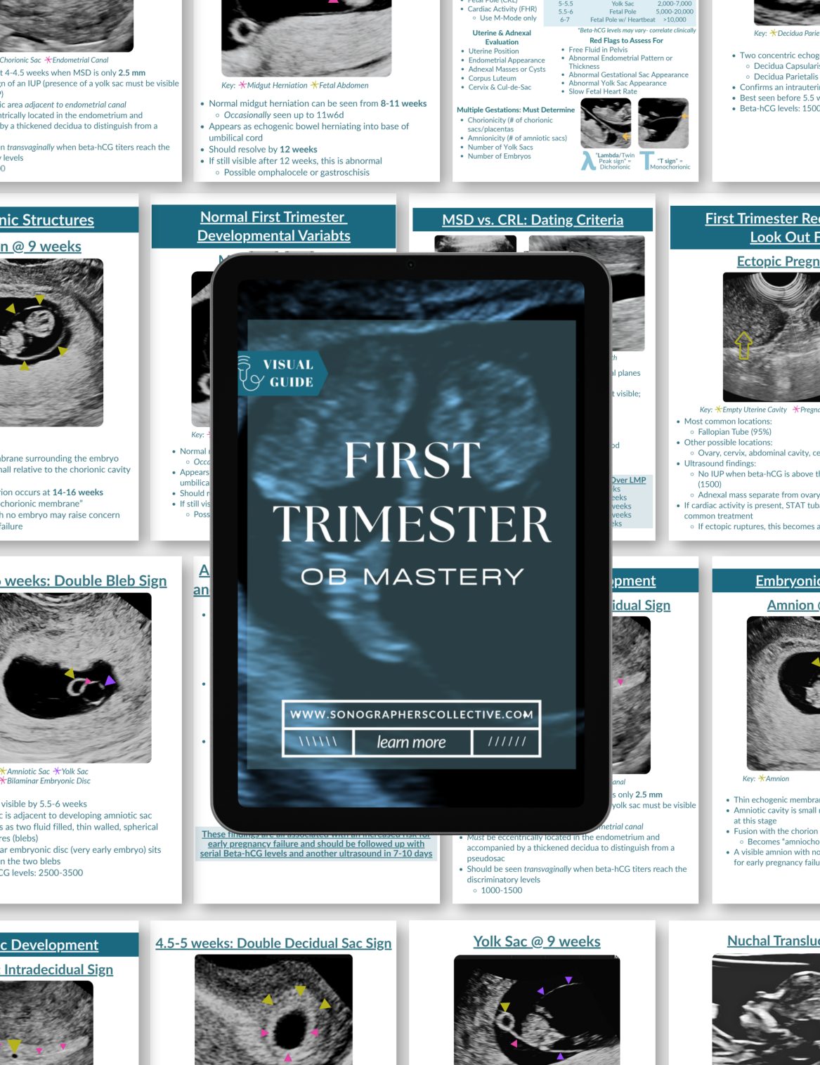 Anatomy Scan: Quick Reference Image Checklist — Sonographers Collective