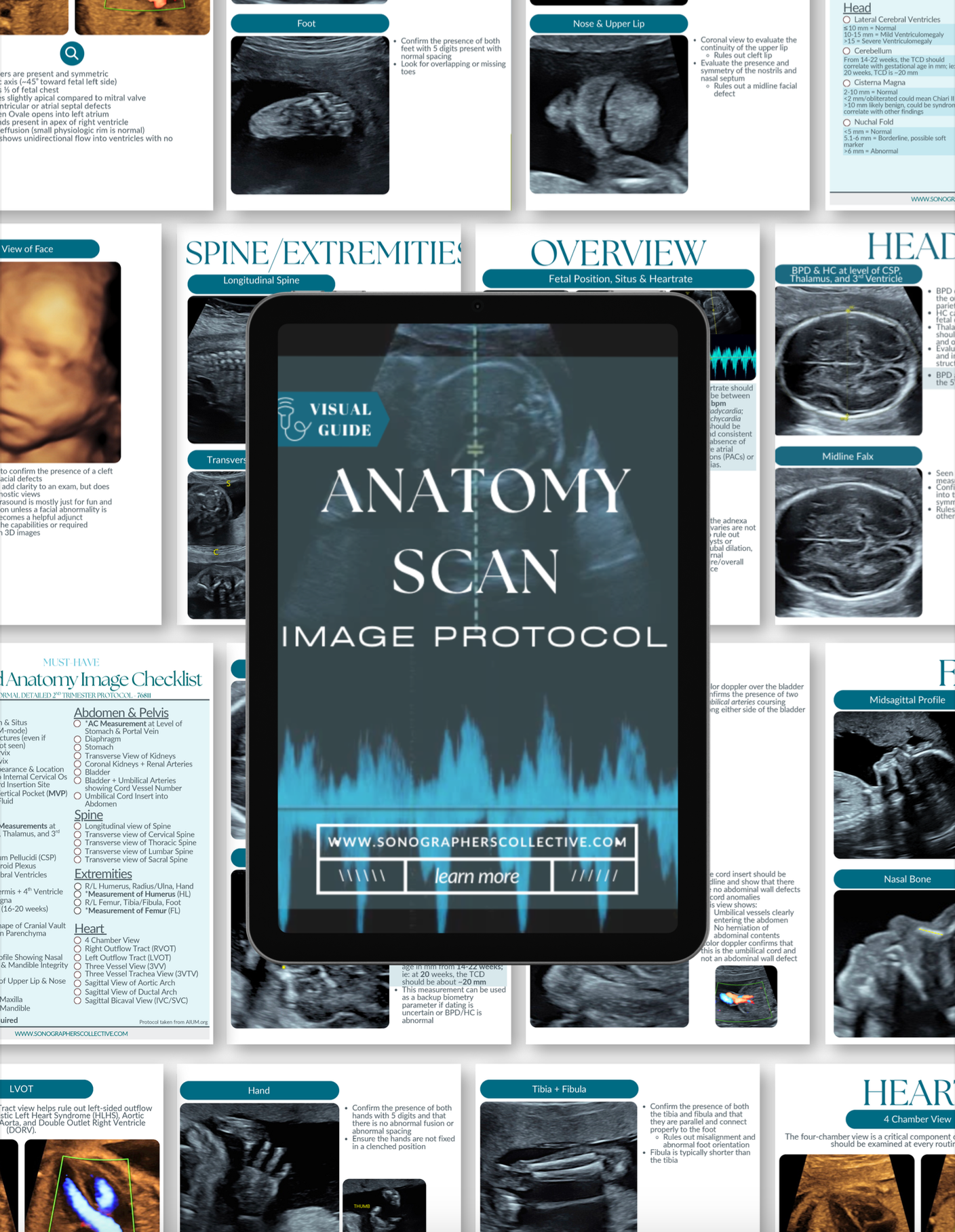 Screenshot 2026-01-23 at 9.21.41 PM.png