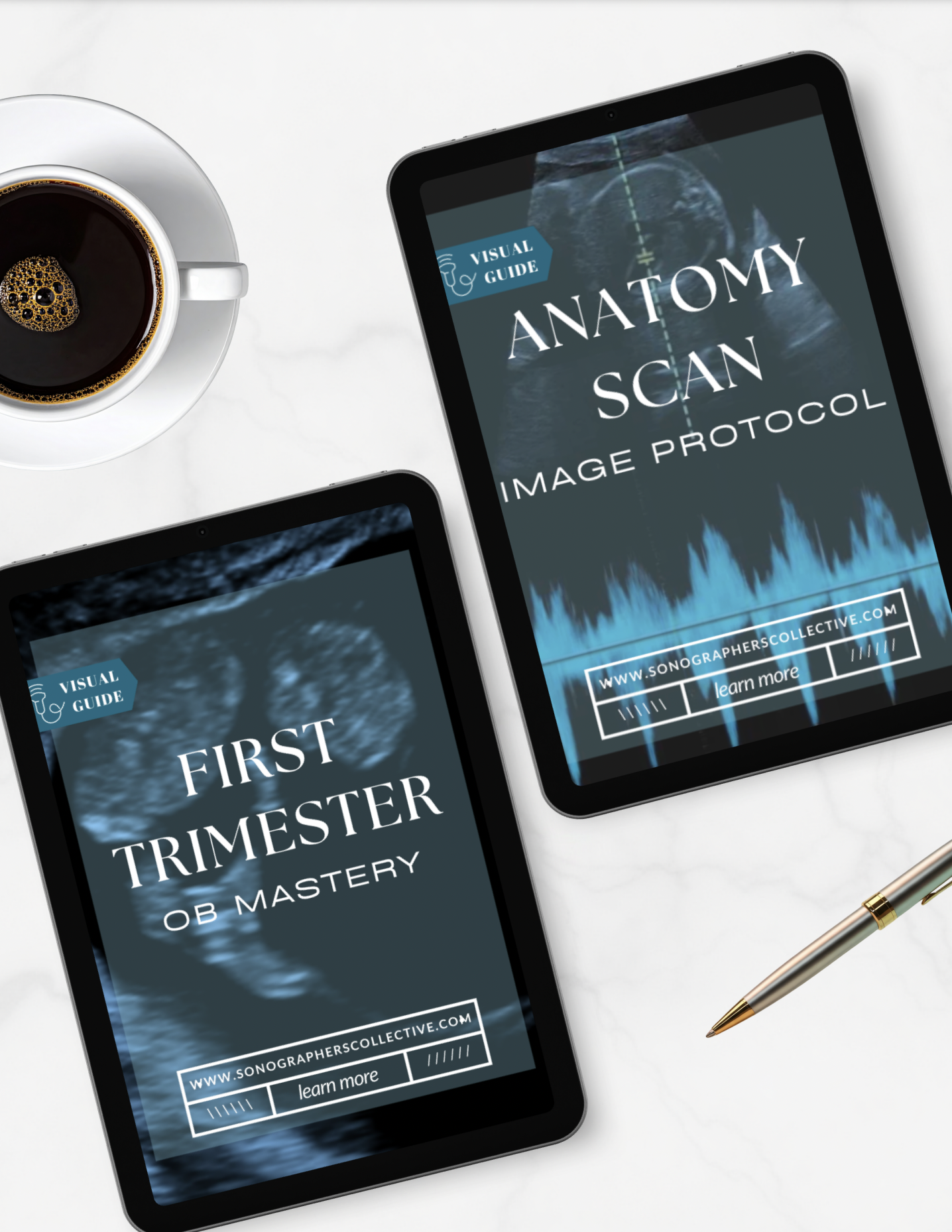 Bundle: First Trimester & Anatomy Scan Ultrasound Guides