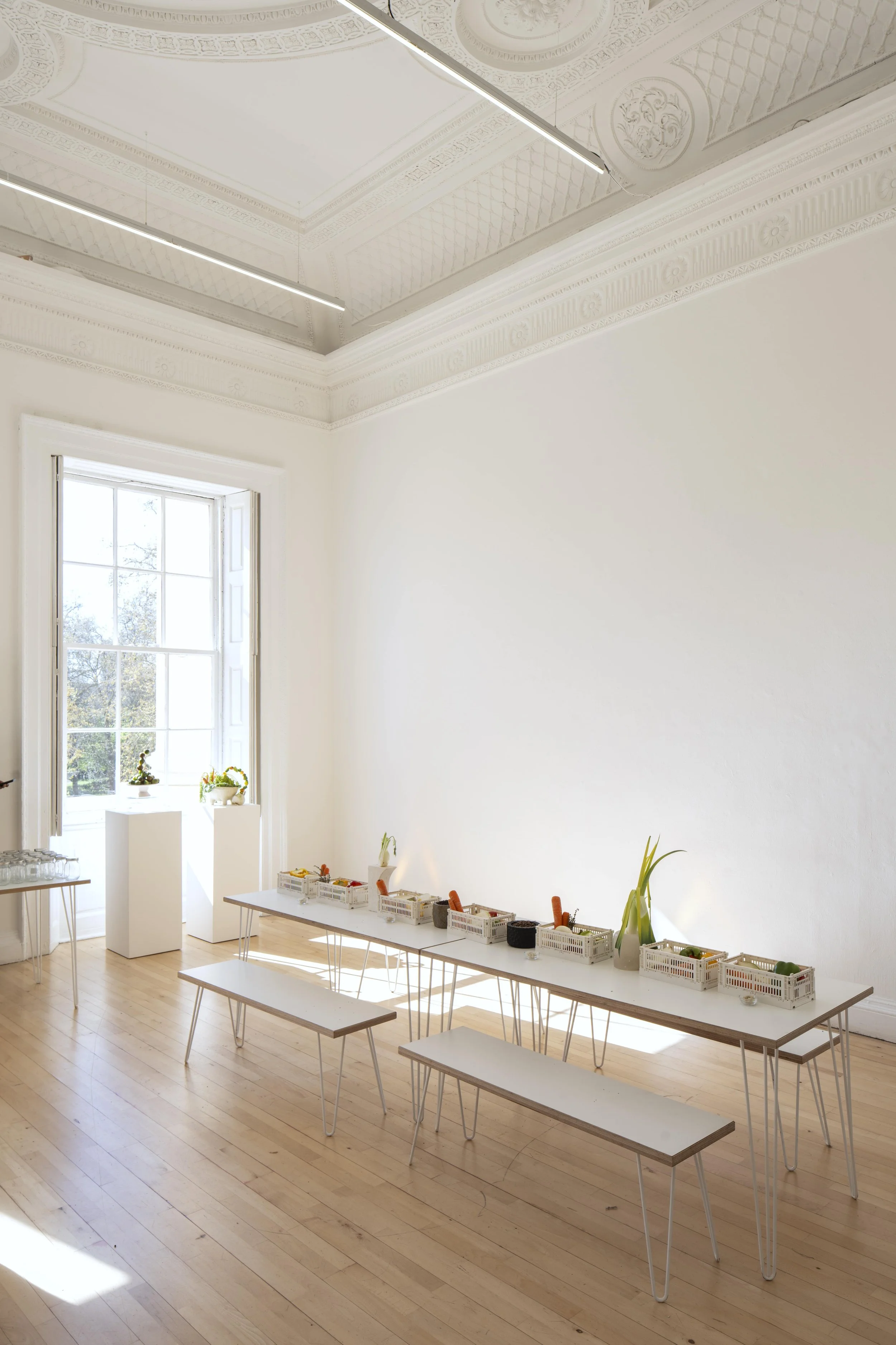 20250405_gunga_assemble_130 copy-min.jpg