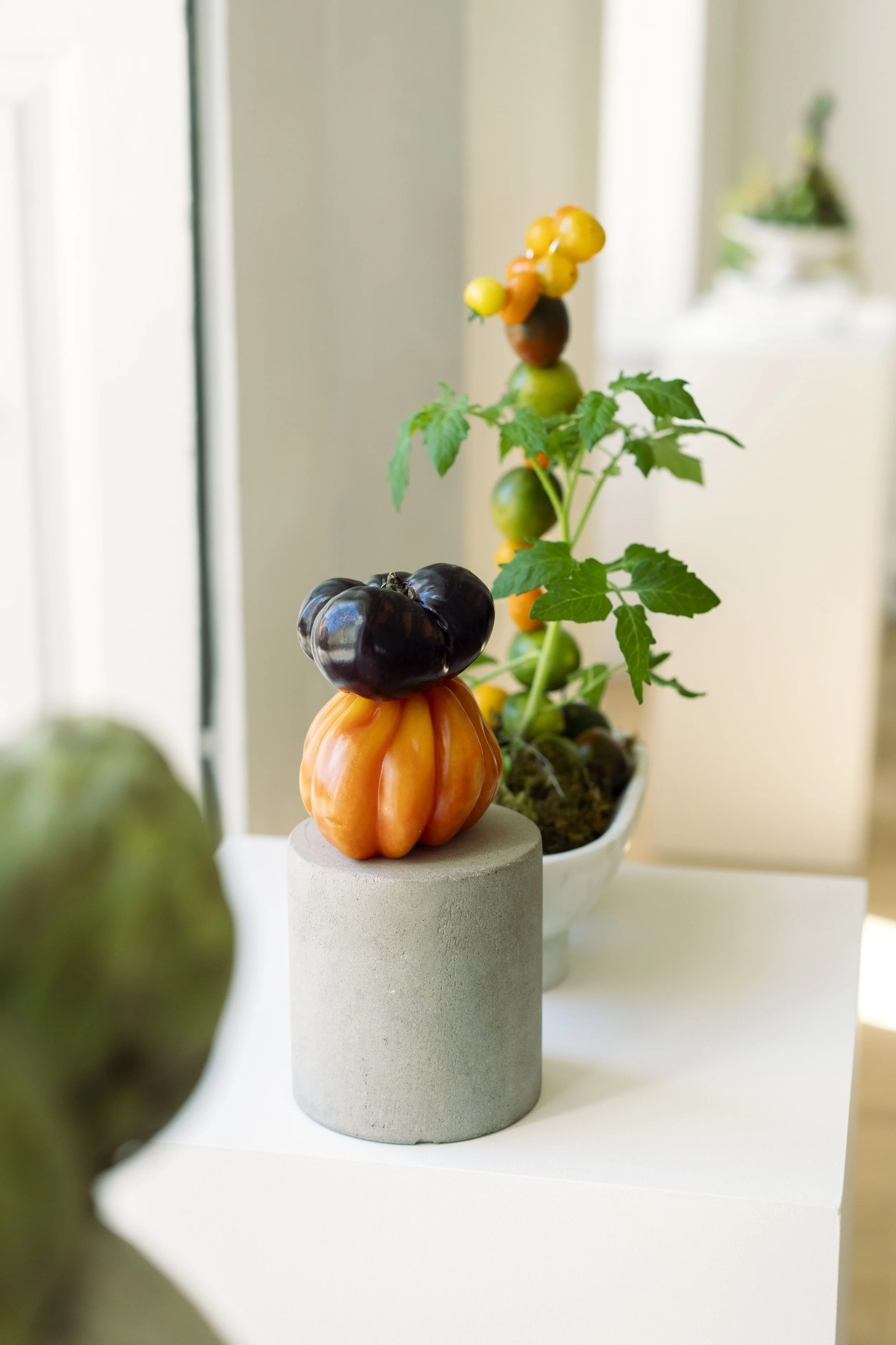 20250405_gunga_assemble_245 copy-min.jpg