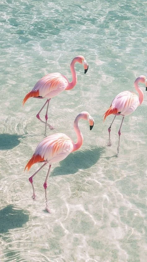 Why you're finally seeing signs and it has nothing to do with the universe..