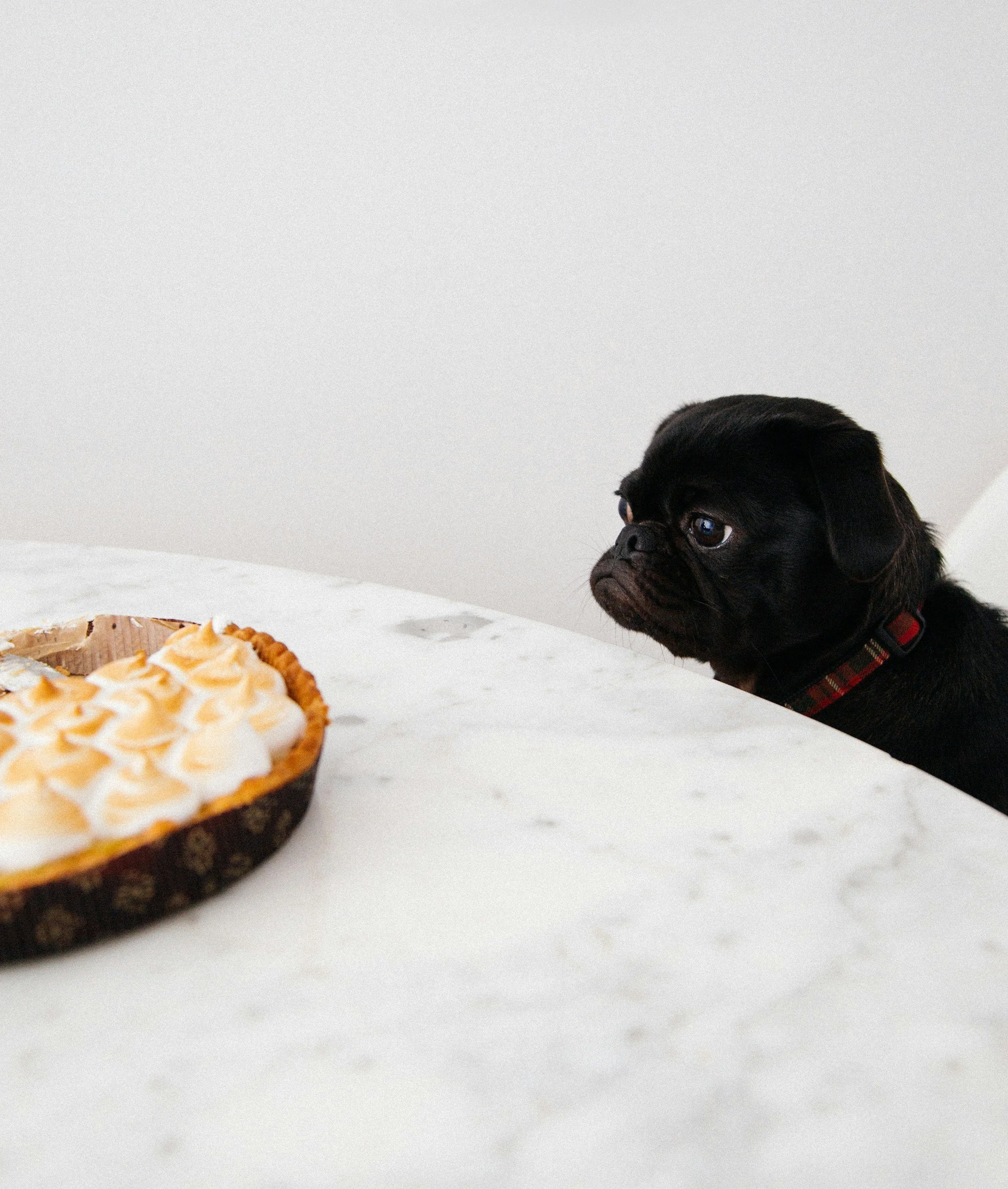 Do you know you’re hungry, or do you actually feel it? and how this connects to your home
