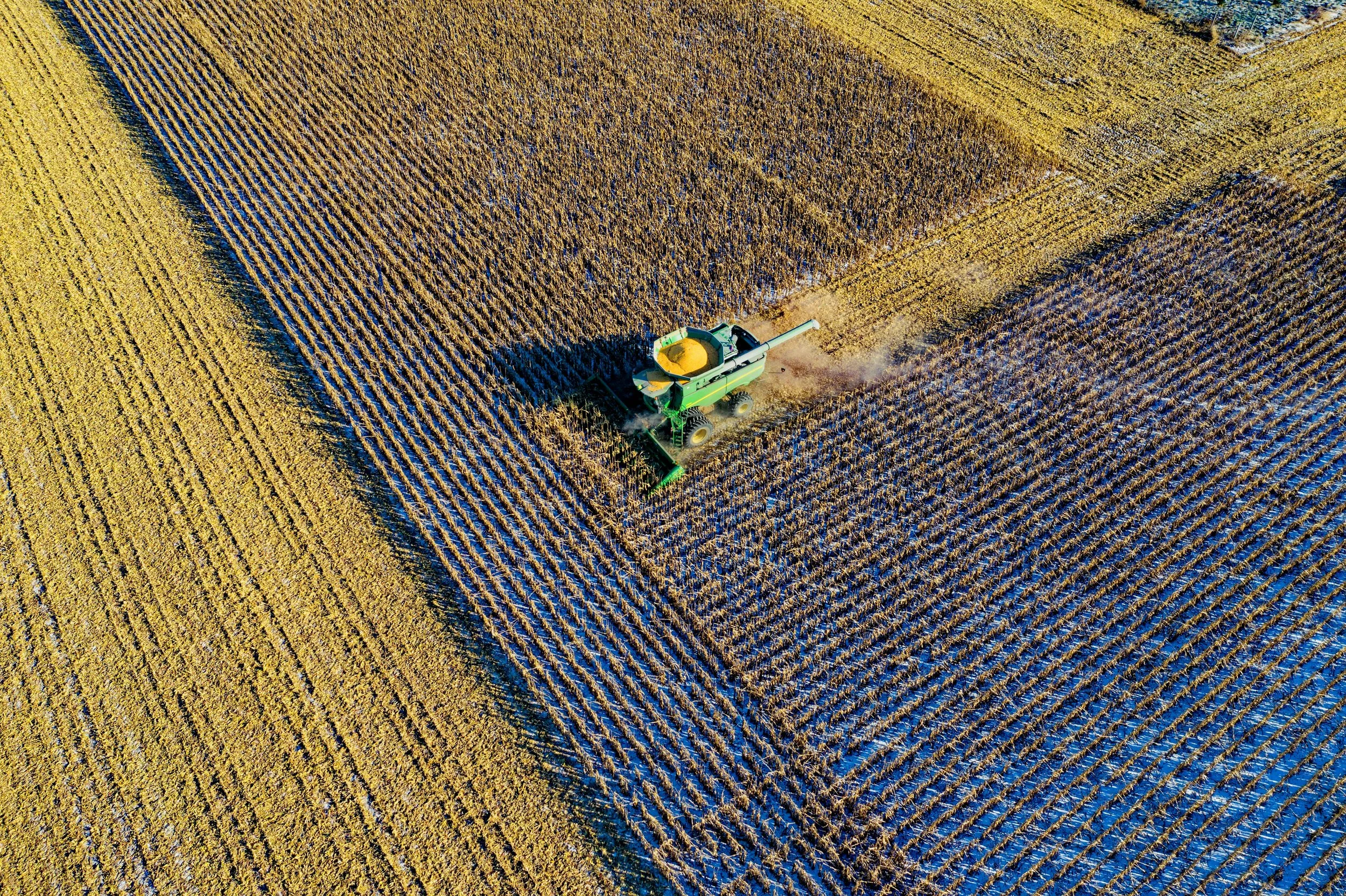An aerial view of a combine harvester working in a vast field of crops during daytime, harvesting the mature grains.