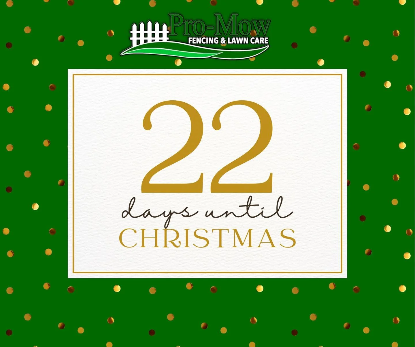 ✨ 22 Days Until Christmas! ✨
A practical gift goes a long way &mdash; especially for loved ones who can&rsquo;t tackle yardwork themselves.

Pro-Mow offers giftable services like:
🍁 One-time yard or leaf cleanups
🌼 Monthly maintenance for yards &am