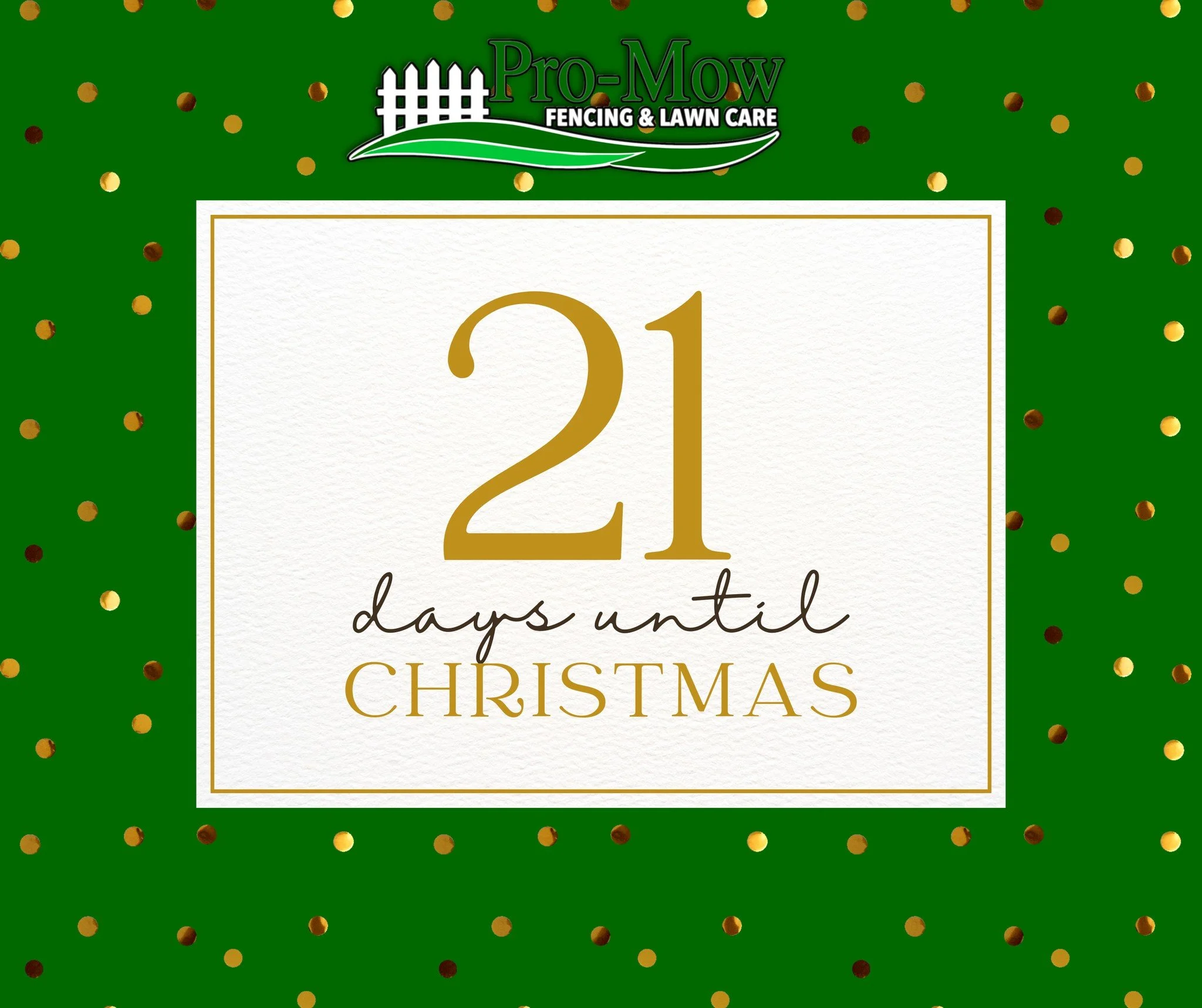 🎄 21 Days Until Christmas! 🎄
Friendly reminder: nobody .....and I mean nobody.... is excited about getting socks again this year. 😂

Give them something they&rsquo;ll actually appreciate:
🍂 A one-time leaf cleanup
🌿 A full yard cleanup
🌸 Monthl