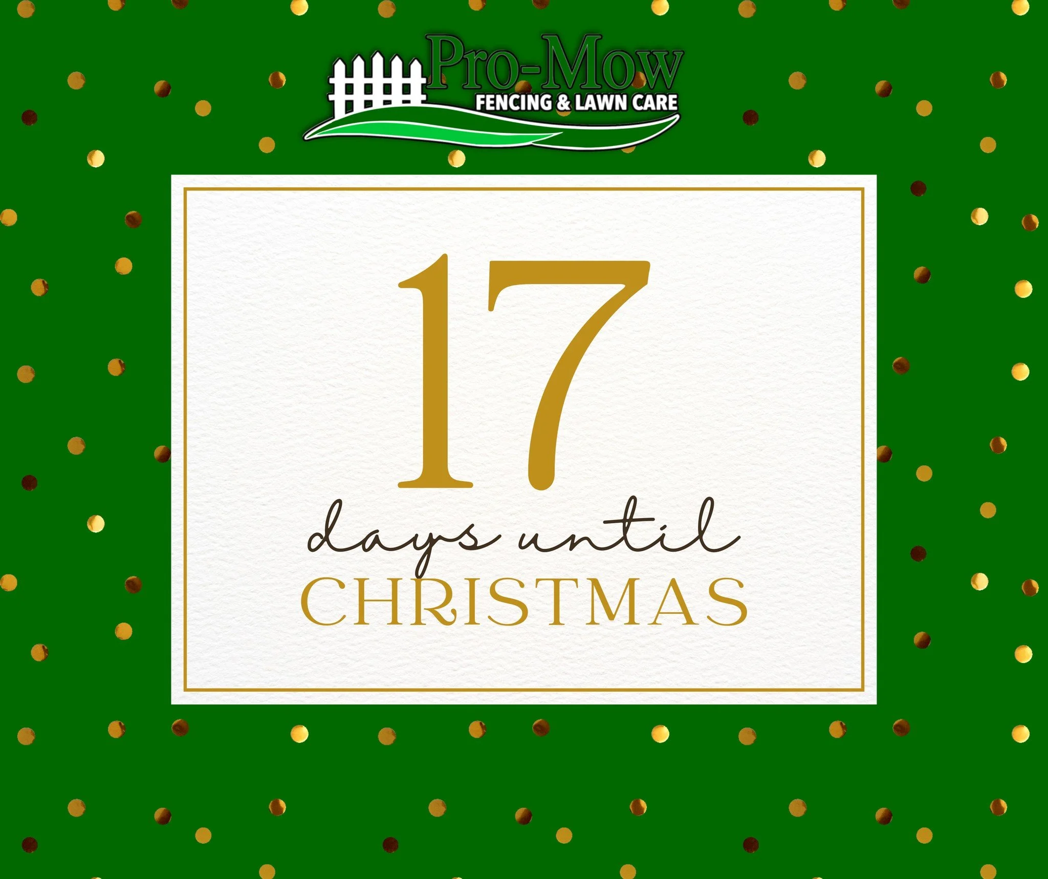 ✨ 17 Days Until Christmas! ✨
Running out of gift ideas? Don&rsquo;t worry &mdash; we&rsquo;ve got one that&rsquo;s useful, thoughtful, and guaranteed to be appreciated:

🎁 A Pro-Mow Gift Card
OR
🎁 A one-time service like:
🍂 Leaf cleanup
🌿 Yard cl