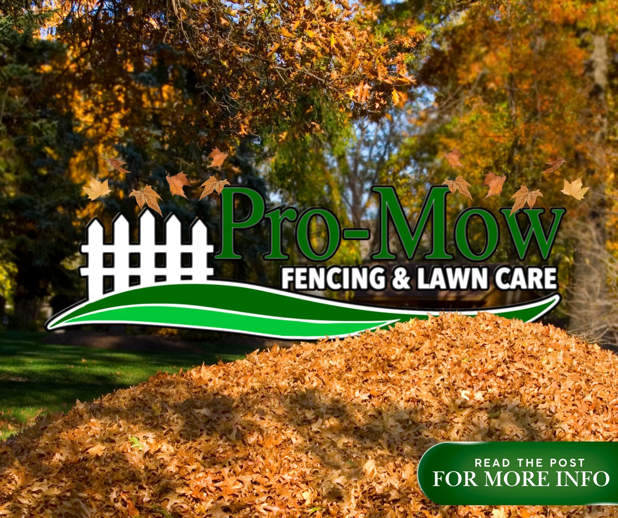 🎄➡️🍂 Christmas is over&hellip; and the leaves are still everywhere. 🍂

With warm Louisiana Christmas weather, we know a lot of families spent time outside yesterday &mdash; kids playing in the yard, visiting with family, and enjoying the day. And 