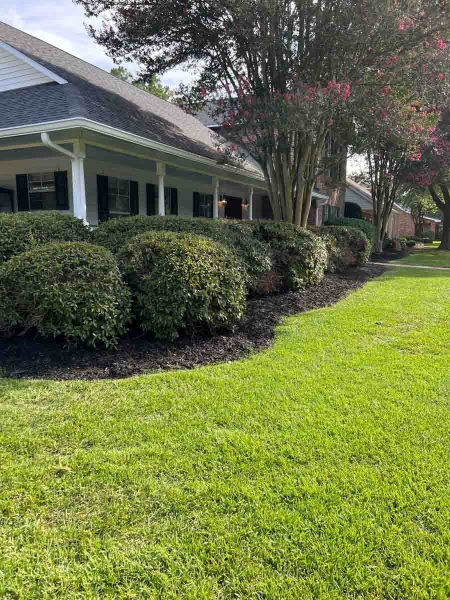 Trimmed bushes and trees in bloom in a yard maintained by Pro-Mow Lawn Care in Alexandria, LA.