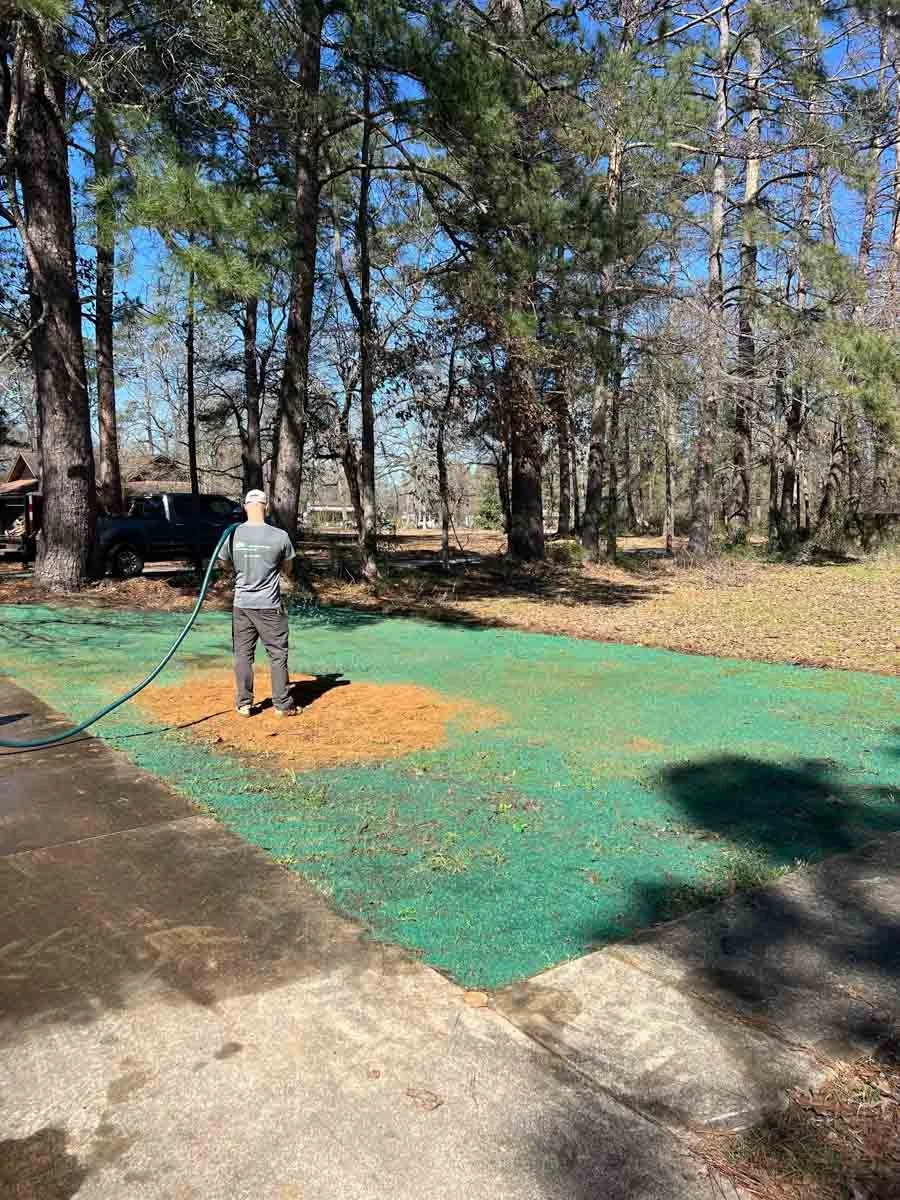 A Pro-Mow Lawn Care worker in Alexandria, LA is watering newly seeded grass in a wooded yard.