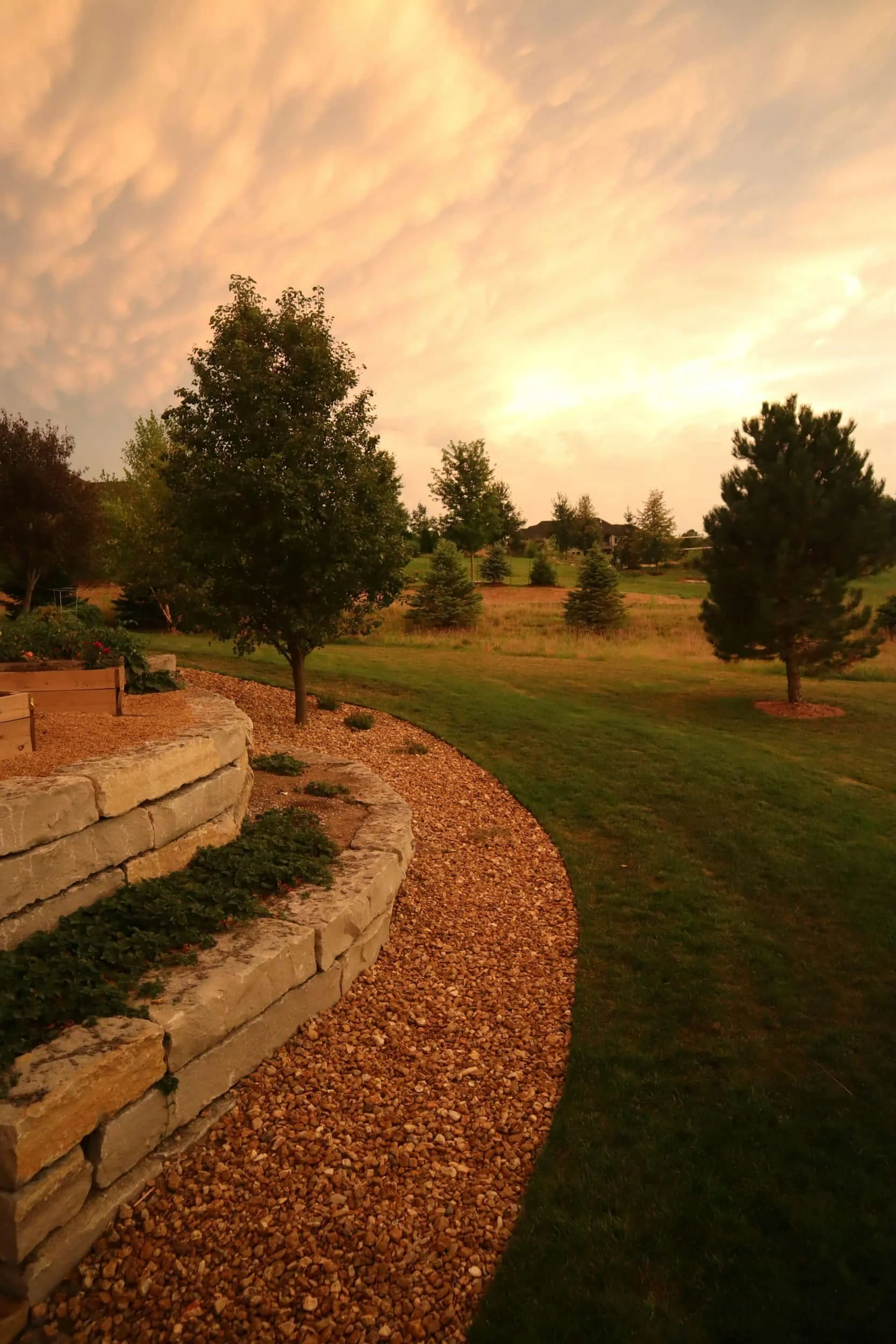 A landscaped yard with a curved gravel pathway, stone retaining wall, and various trees under a cloudy sky at sunset.