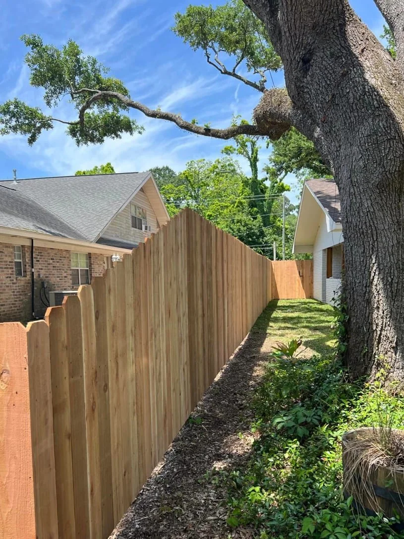 A scene of large tree framing a house with a new backyard privacy fence, installed by Pro-Mow fence company in Alexandria, LA.
