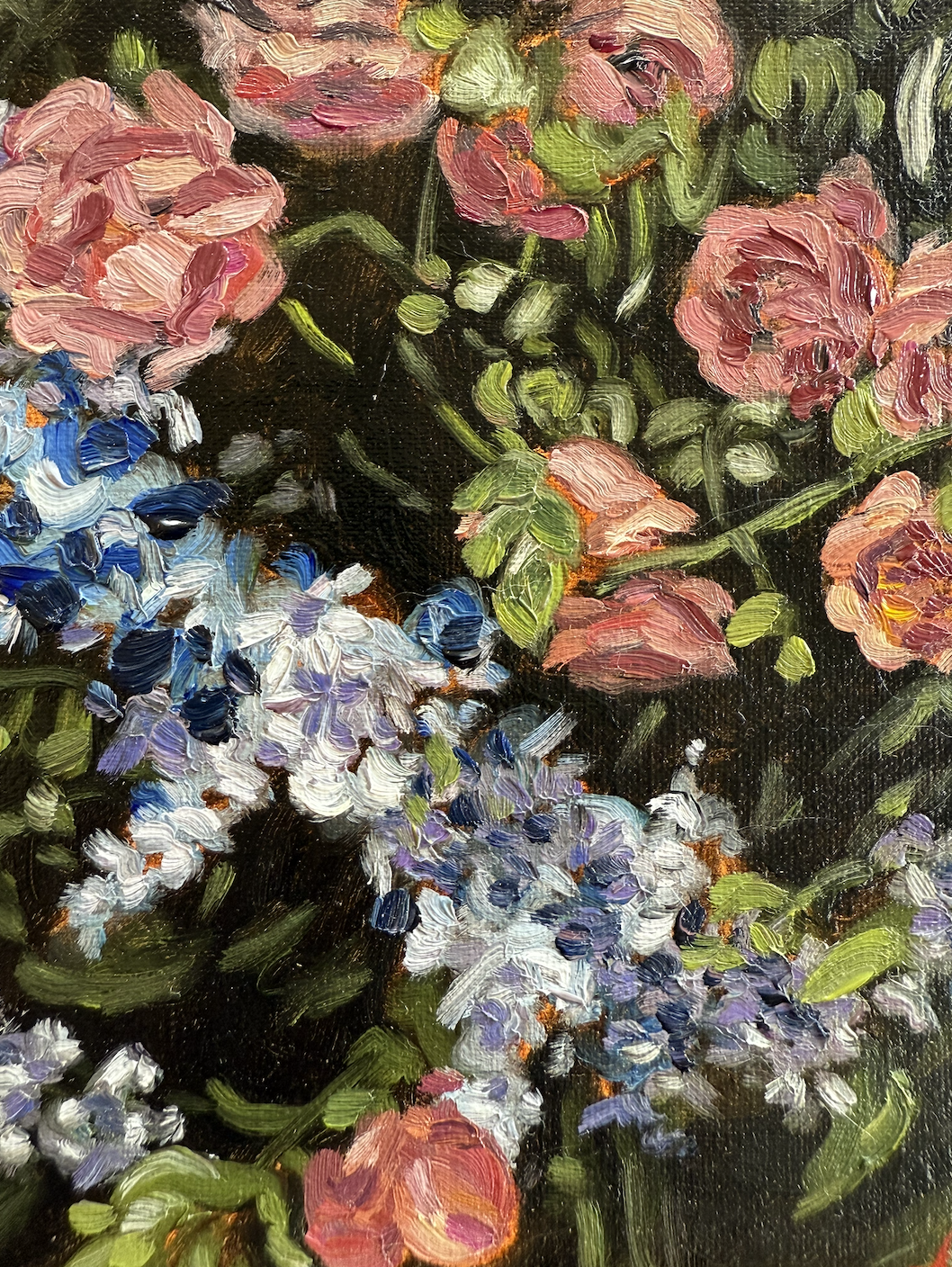 The nest of the Missel Thrush 3.png