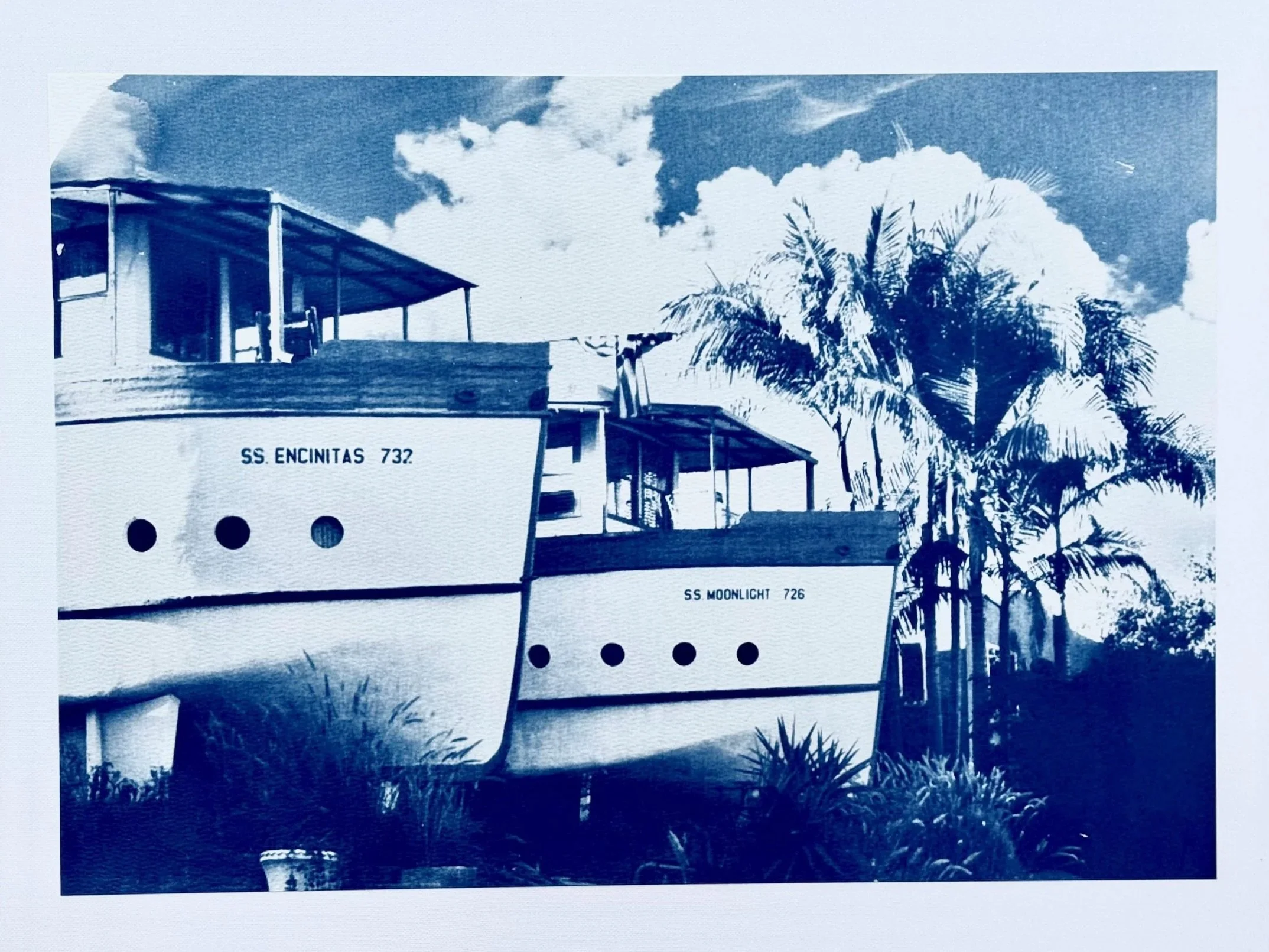 Sun Prints (Cyanotypes)