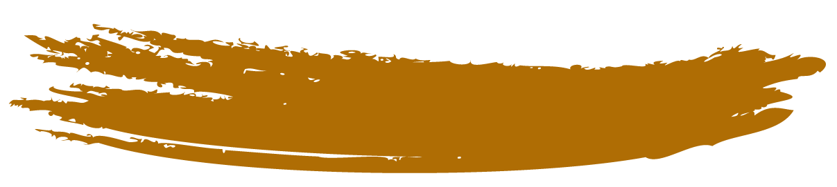 Brown paintbrush stroke on a white background.