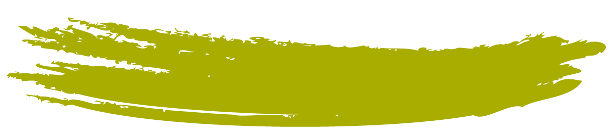A horizontal green paint stroke with rough edges on a transparent background.