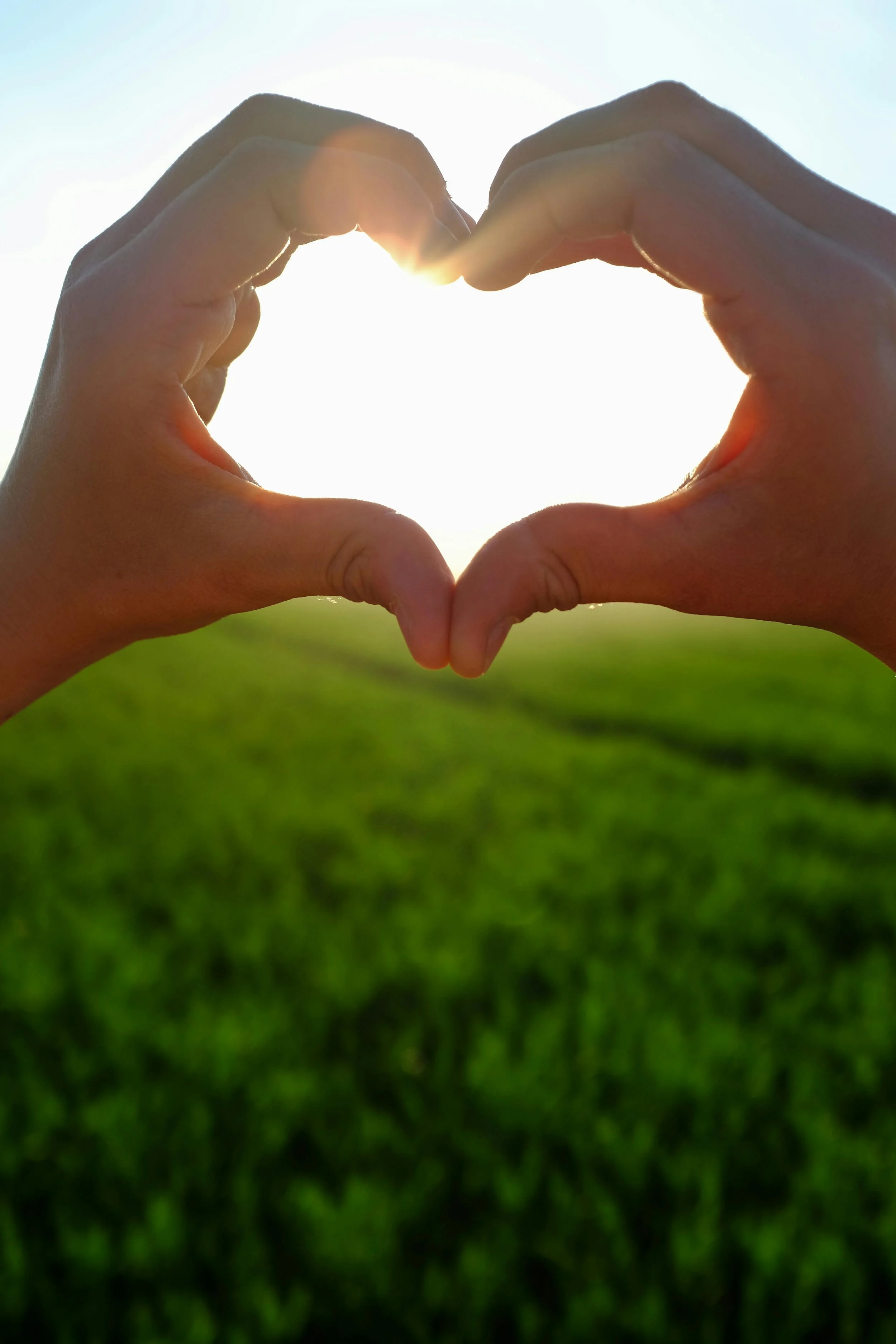 Mani che formano un cuore davanti alla luce del sole, simbolo di resilienza emotiva e speranza