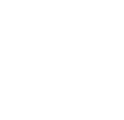 NewFest logo