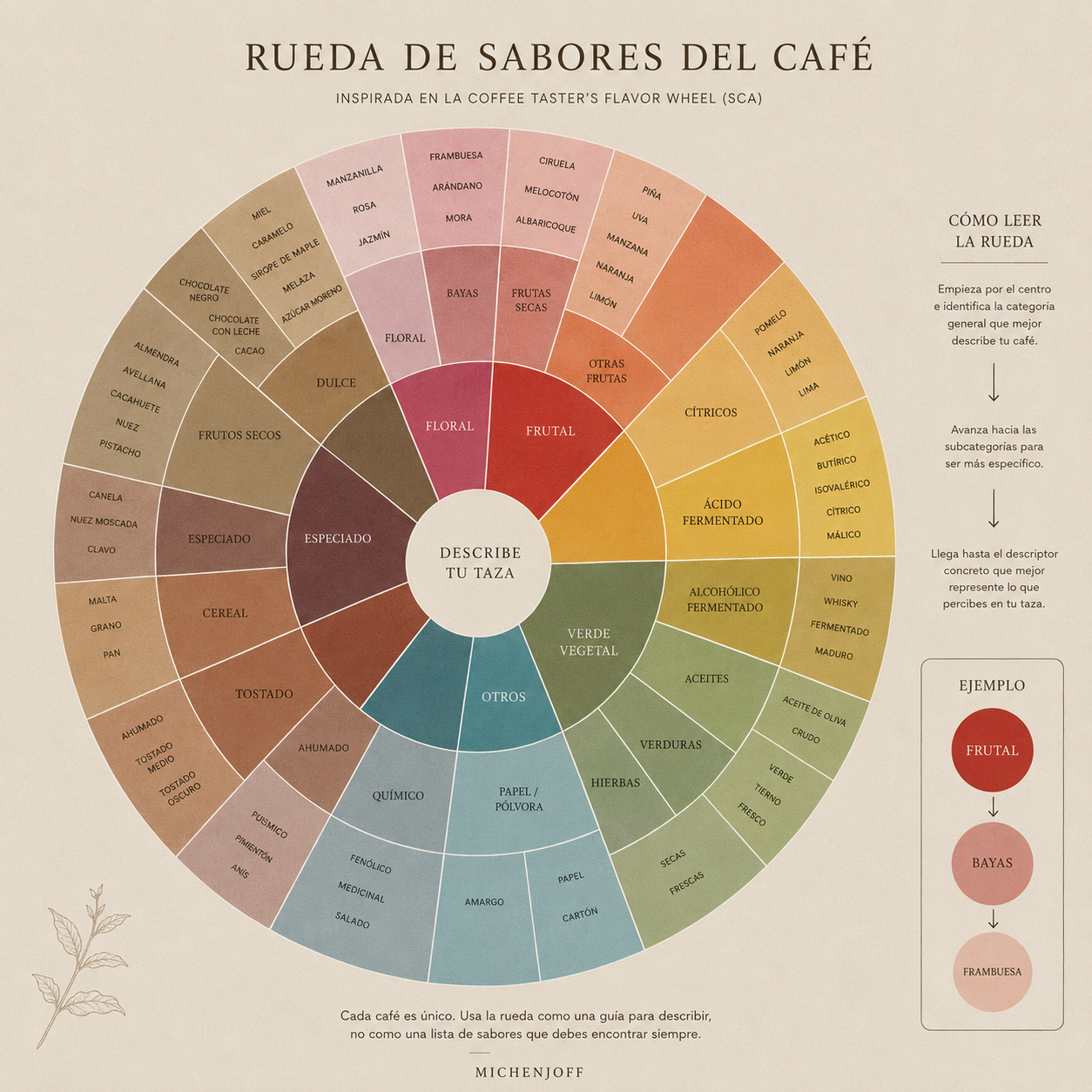 Reinterpretación de la rueda de sabores del café para identificar aromas, sabores y matices durante la cata de un café de especialidad · Michenjoff