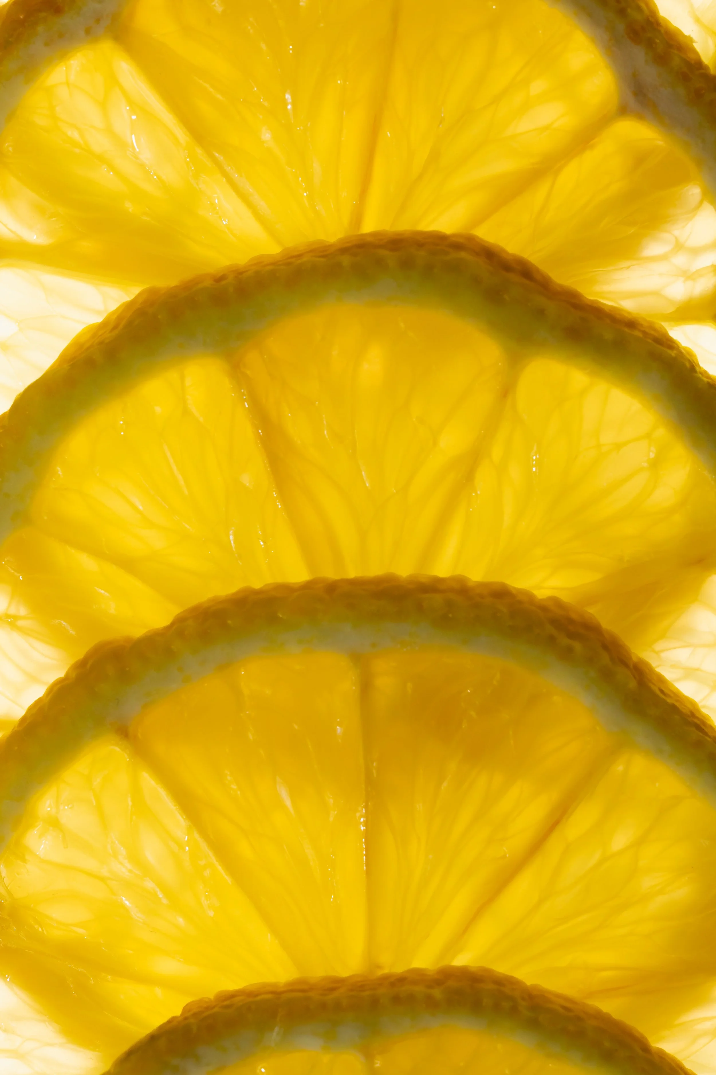 kaboompics_backlight-fruit-and-vegetable-still-life-backgrounds-41054.jpg