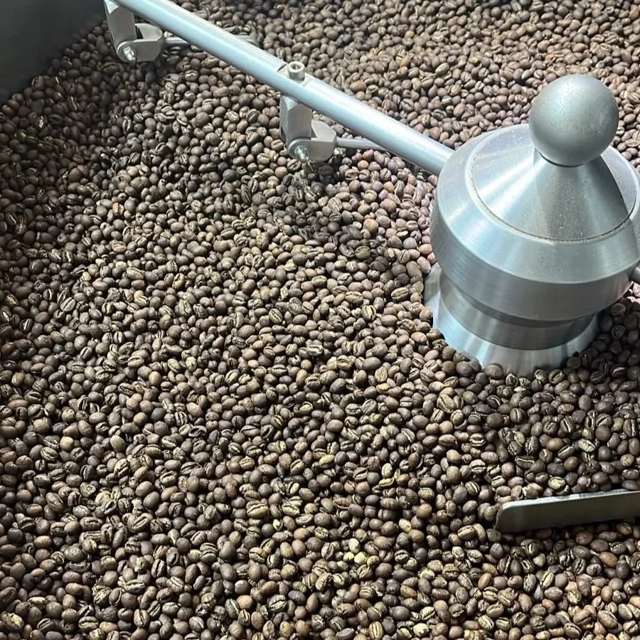 Granos de café caracolillo después del tueste