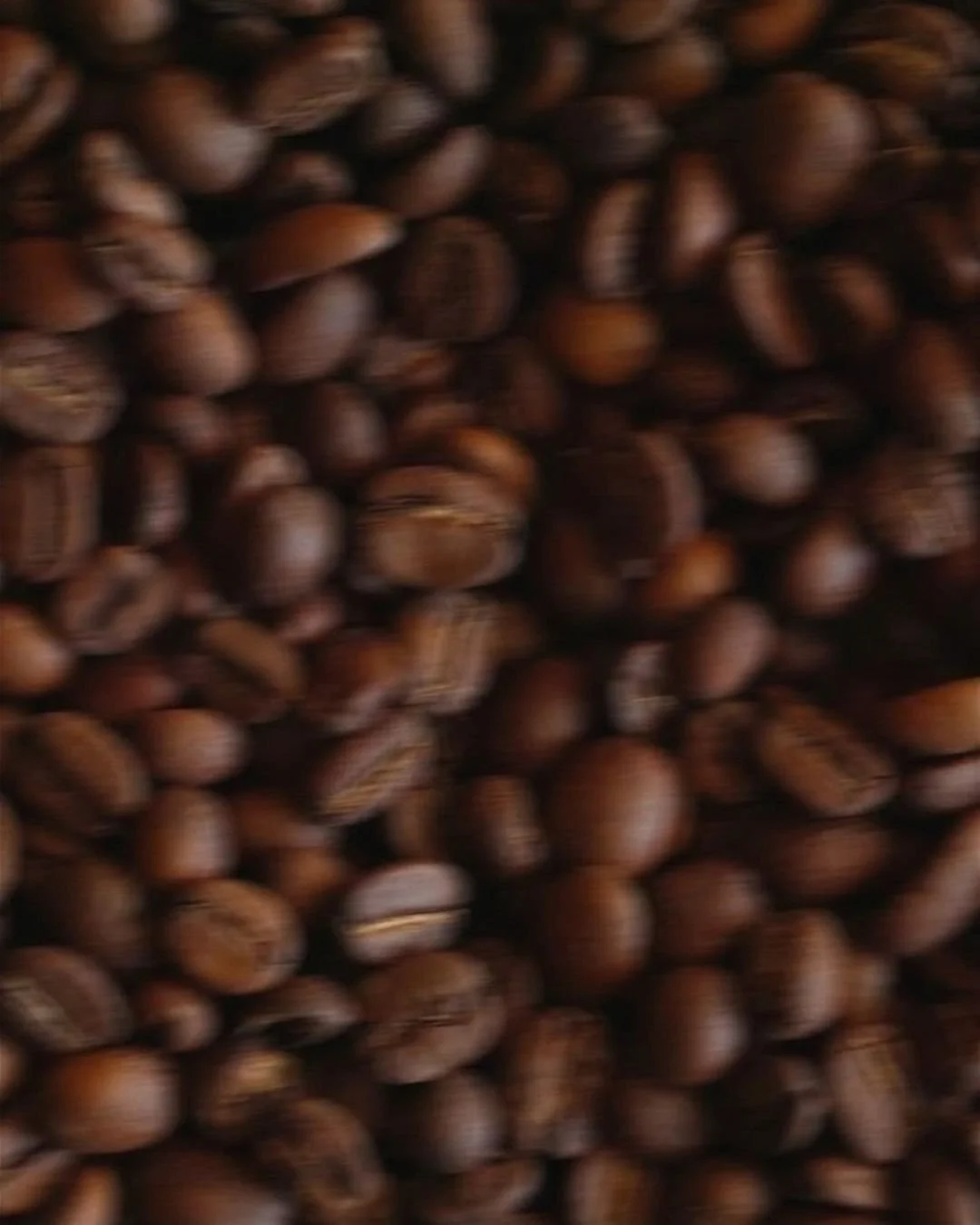 Michenjoff specialty coffee.jpg