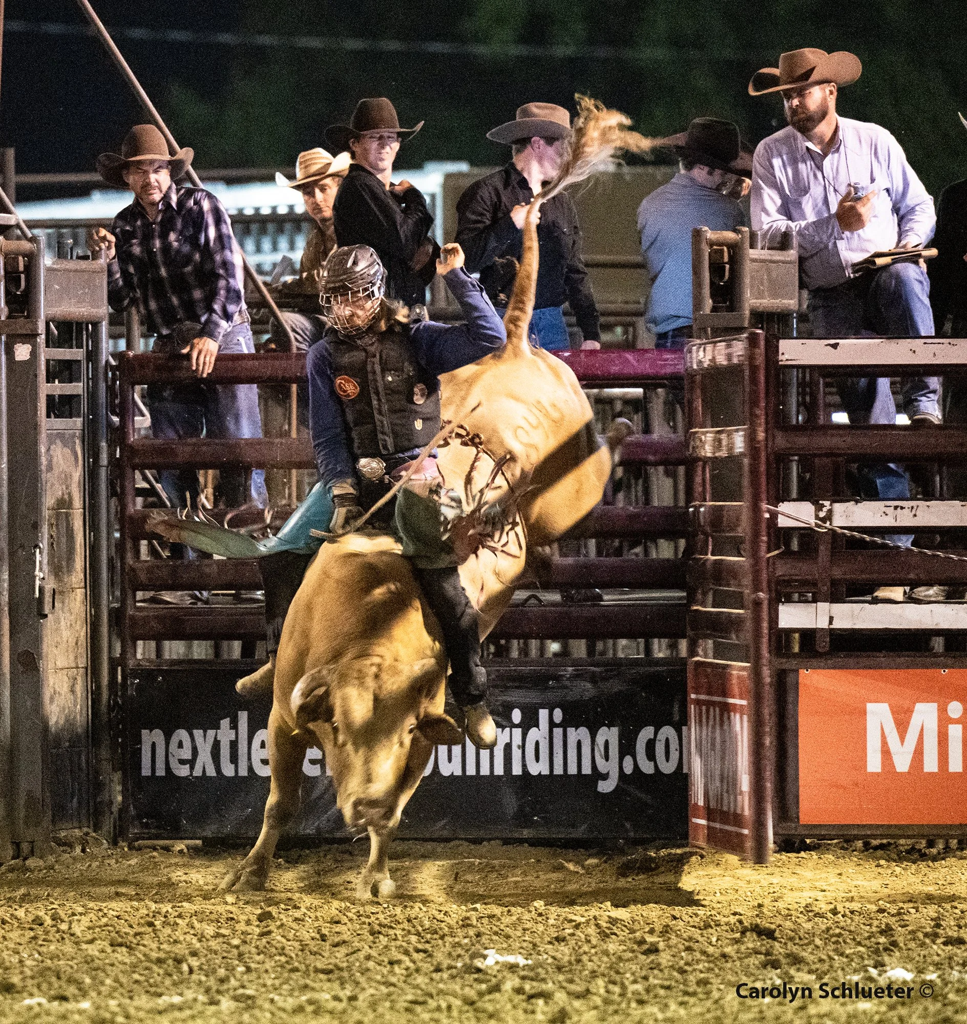 A rodeo rider on a bucking bull at the Blue Army Bull Bash at night, with spectators and announcers watching from the background.