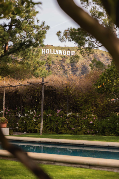 View of the Hollywood sign on a hillside, framed by trees and shrubs.