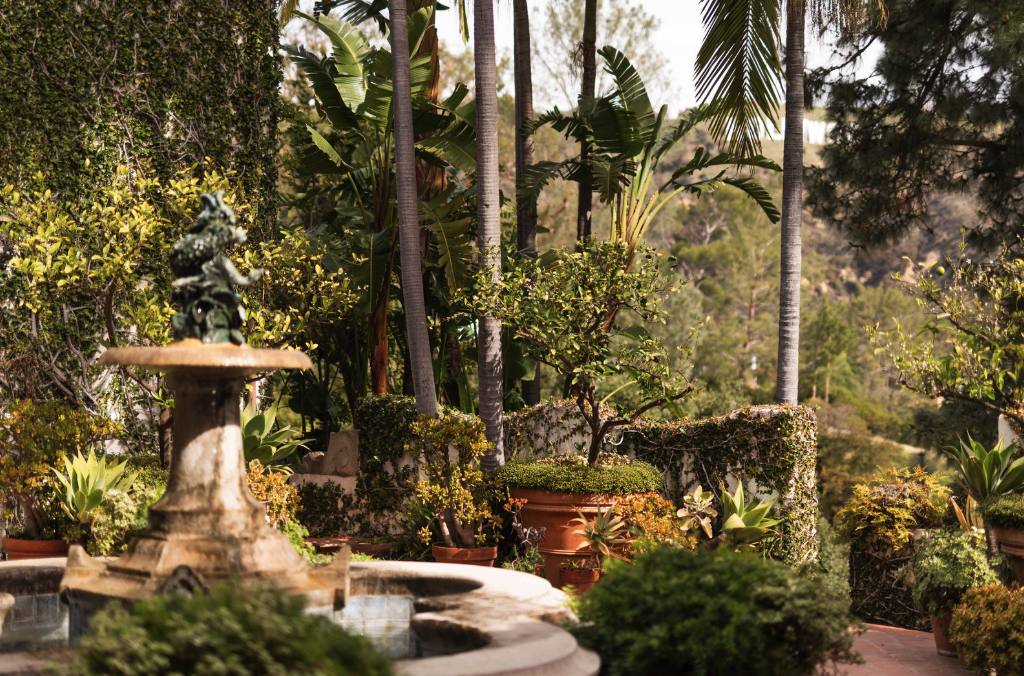 A lush garden with potted plants, trees, and a stone fountain in the foreground. Tall palm trees and various green foliage surround the area.