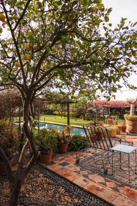 A backyard patio with potted plants, a tree providing shade, a swimming pool in the background, and outdoor furniture including metal chairs and a patterned rug.