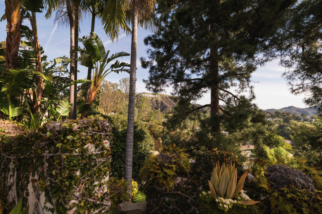 View of the Hollywood sign on the hillside through lush trees and plants in a garden.