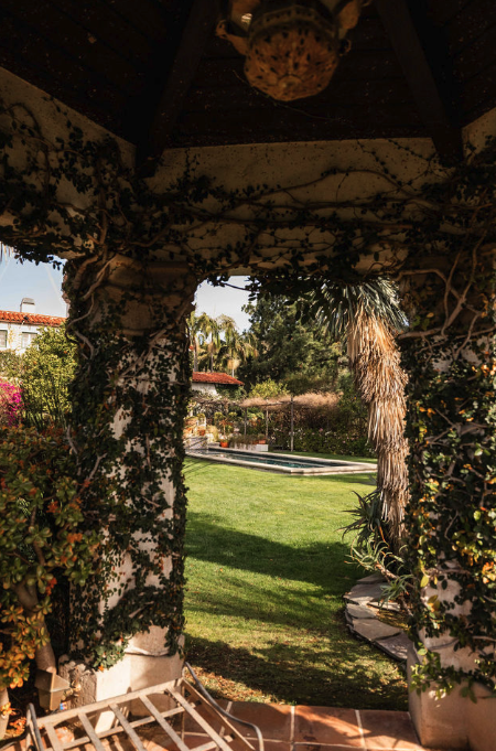 View through a pergola with vines and plants into a backyard with a lawn, palm trees, and a pool.