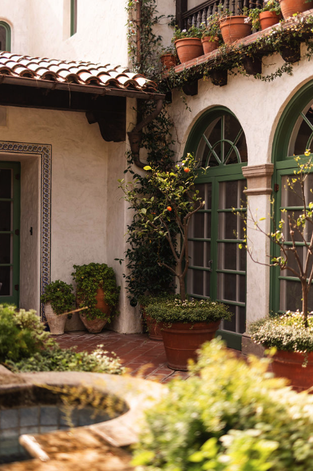 Outdoor courtyard with potted plants, trees, and a water feature.