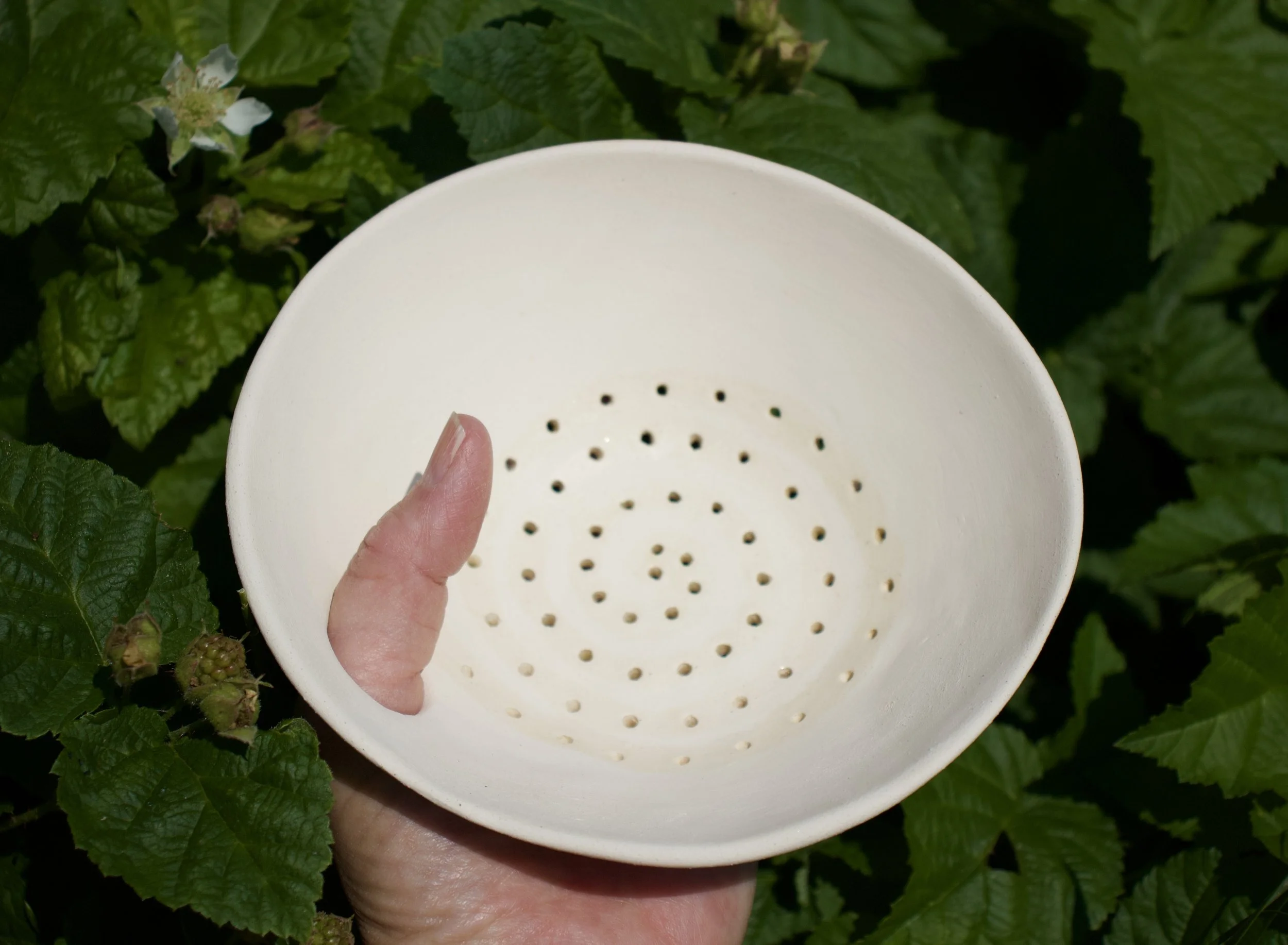 A person holding a white ceramic strainer with small holes, with green leafy plants in the background.