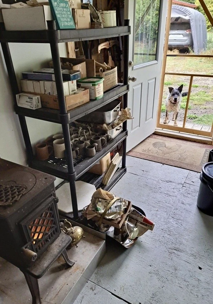 A room with a black metal shelf filled with various boxes, containers, and other items. A black stove is visible in the foreground. An open door leads to an outside area, where a dog stands on the porch looking inside, with a car parked and a tarp-co