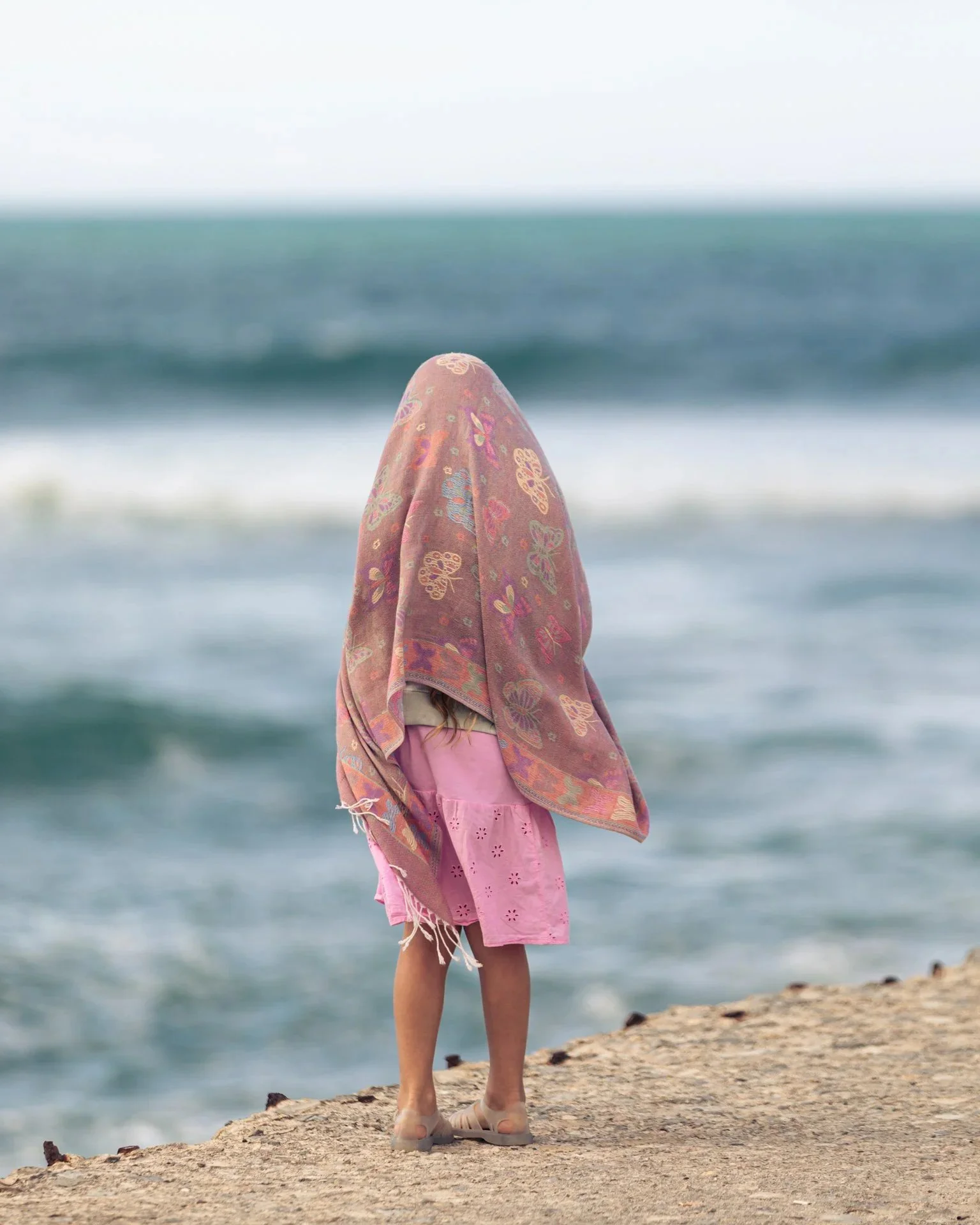 Gliding_Barnacles_2023_-102.jpeg