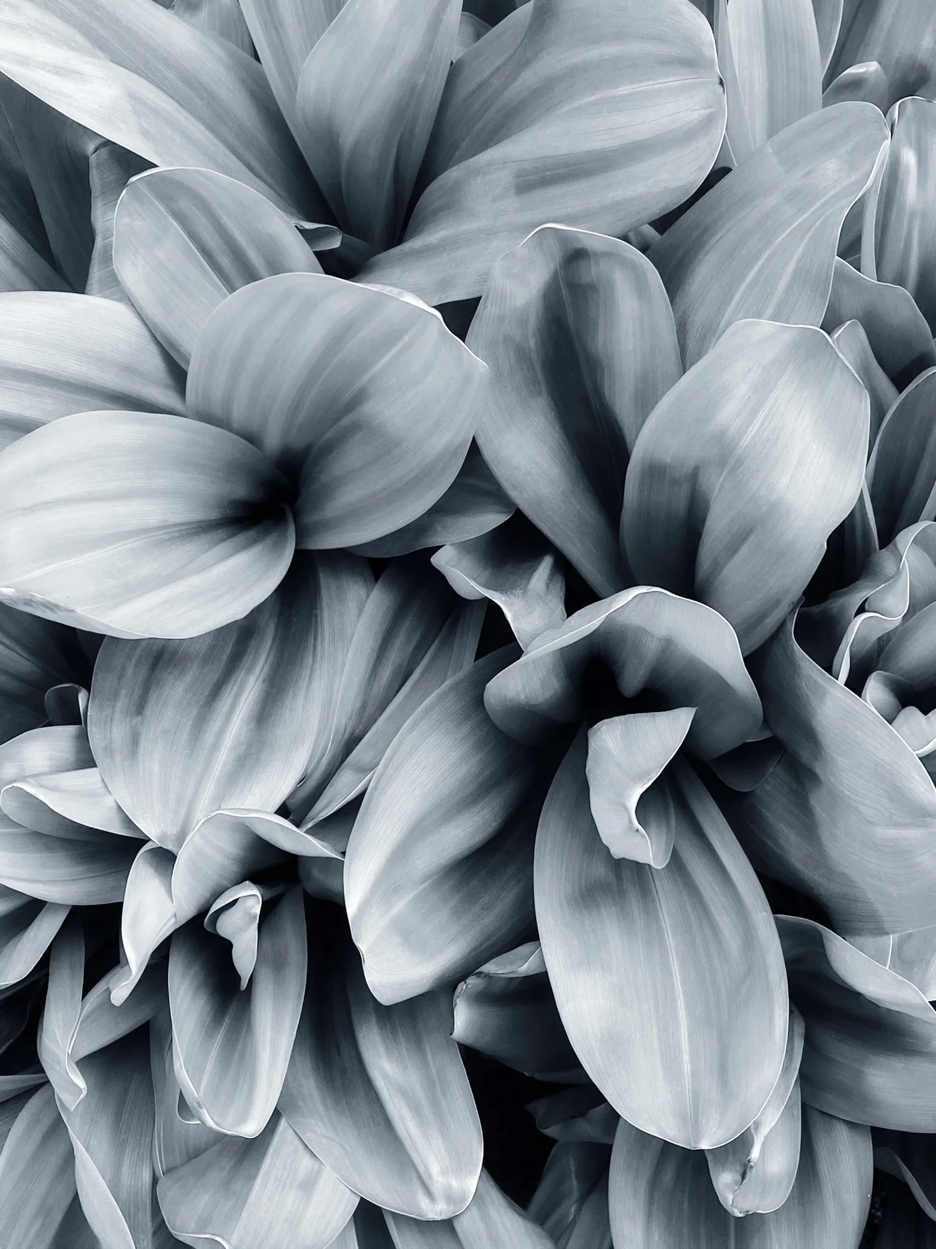 Chronic illness root cause medicine naturopath Toronto