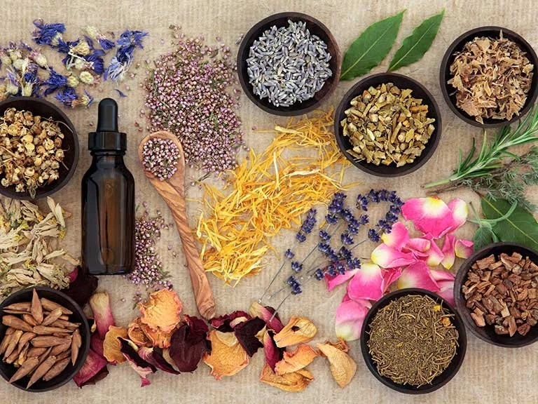 Natural health supplements recommended by naturopath Toronto