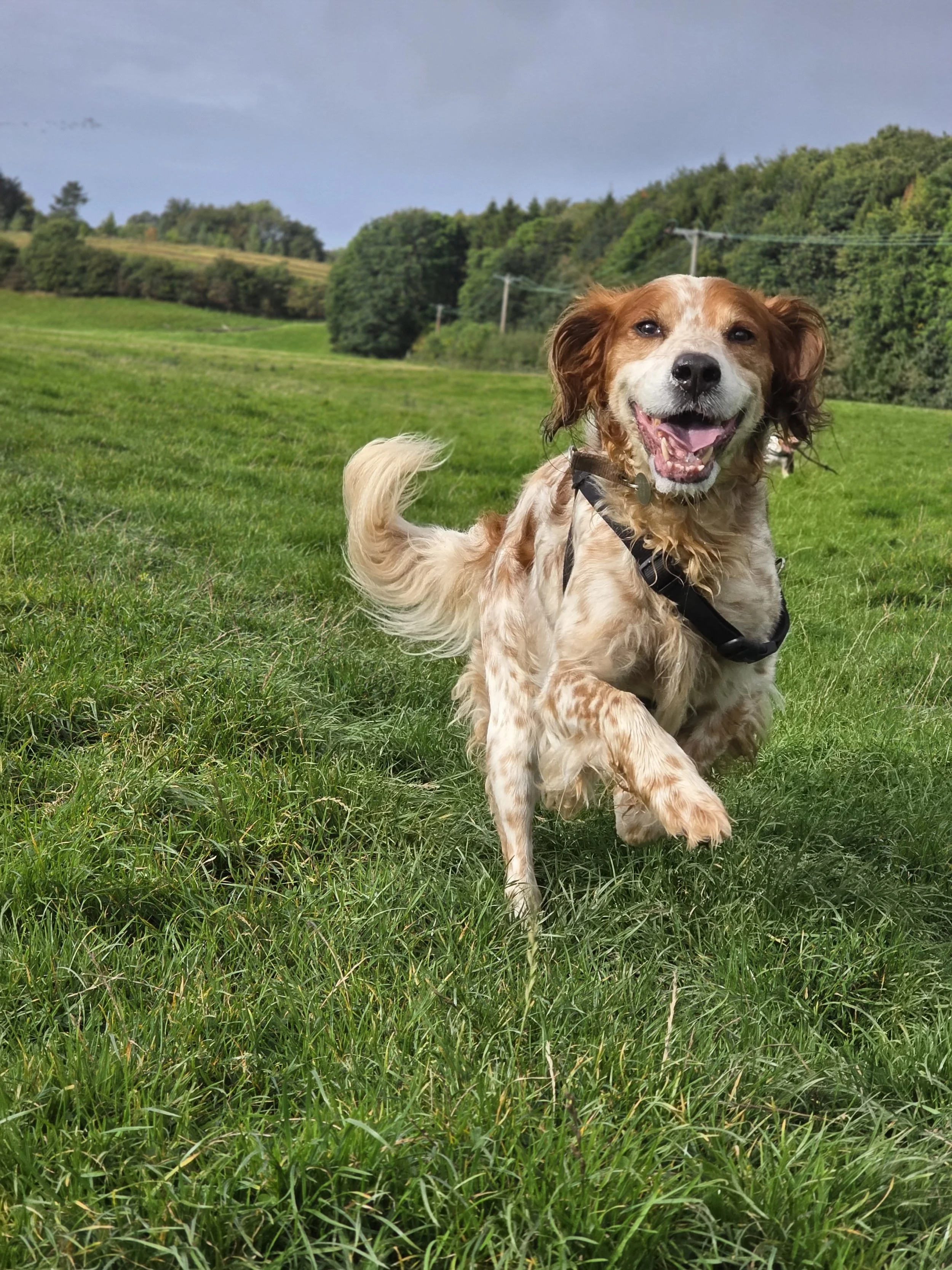 To Treat or not to Treat?