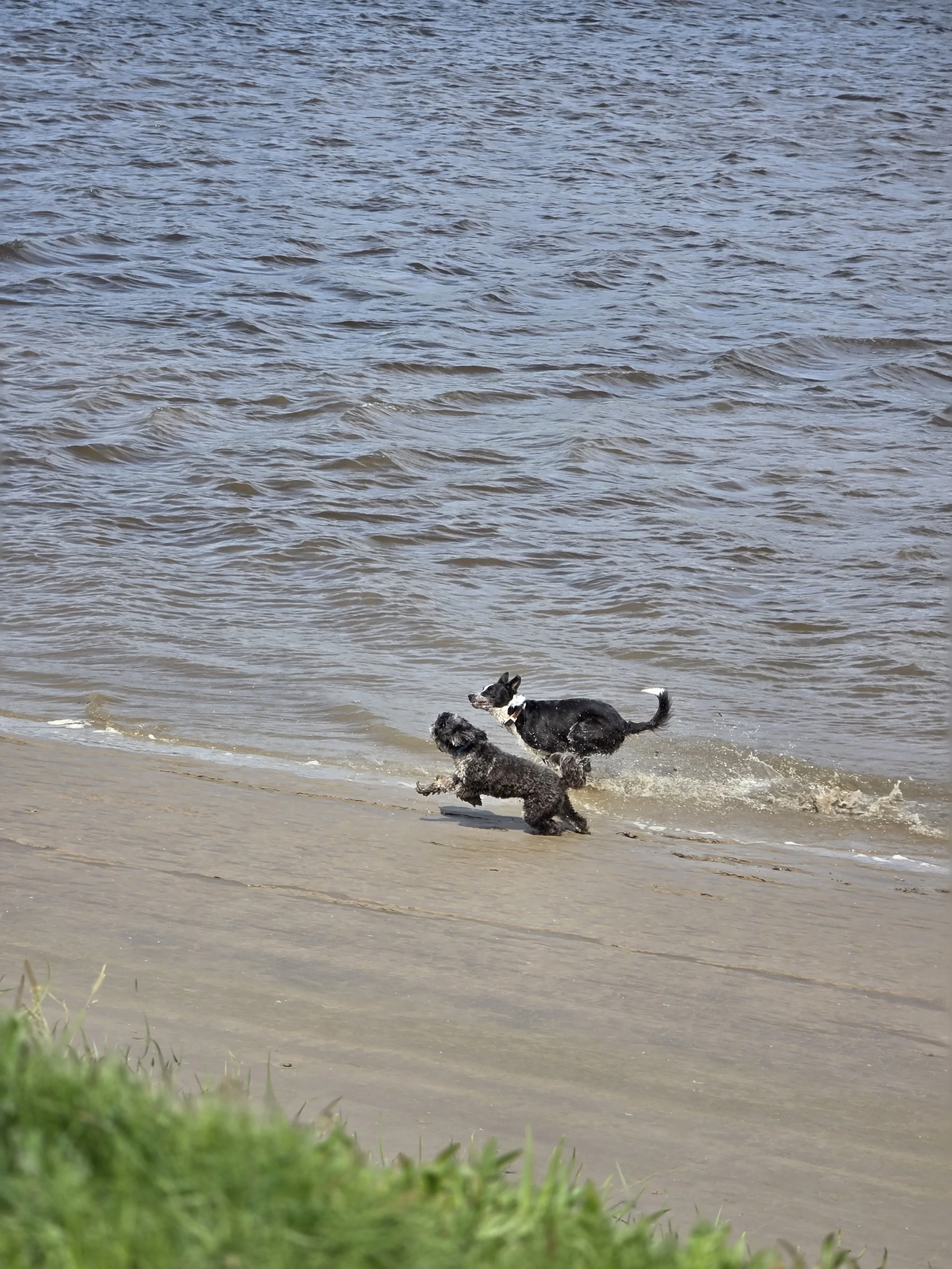 processed_20250612_111222(0).jpg