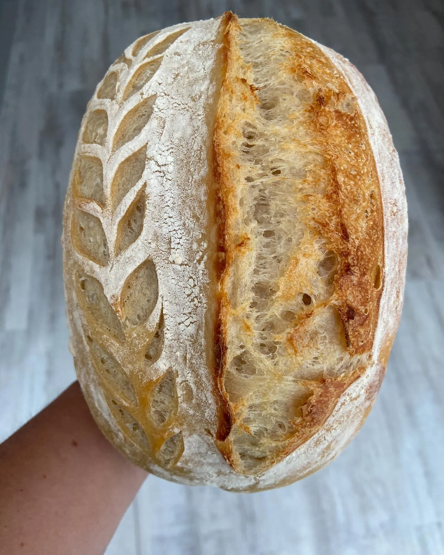 Todays beauty! #sourdough #sourdougbread #sourdoughofinstagram #microbaker #oloaf #ᴅᴍᴛᴏᴏʀᴅᴇʀ