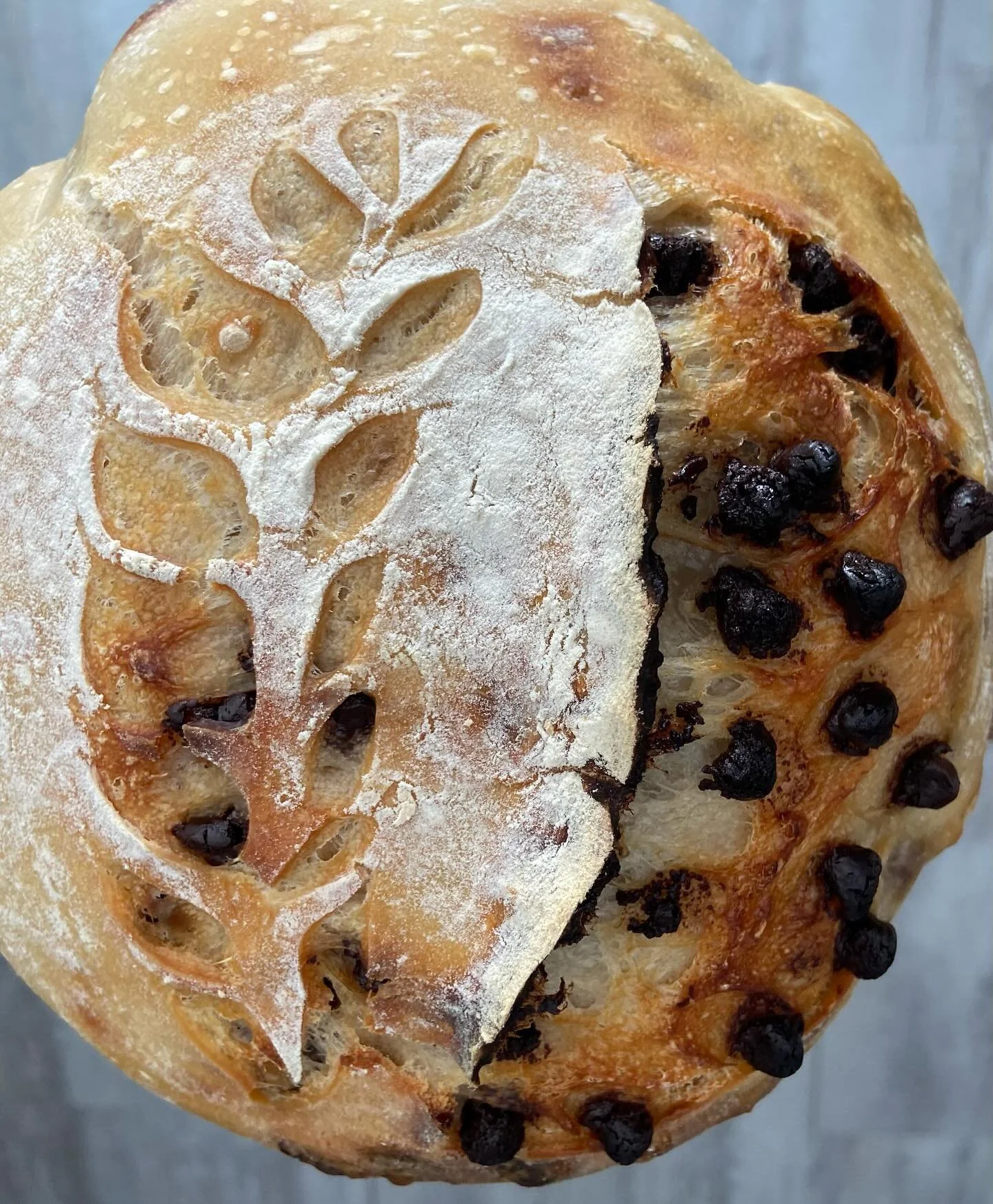 Chocolate chip inclusion loaf #sourdough #sourdougbread #sourdoughofinstagram #microbaker #oloaf #ᴅᴍᴛᴏᴏʀᴅᴇʀ #chocolatechipsourdough