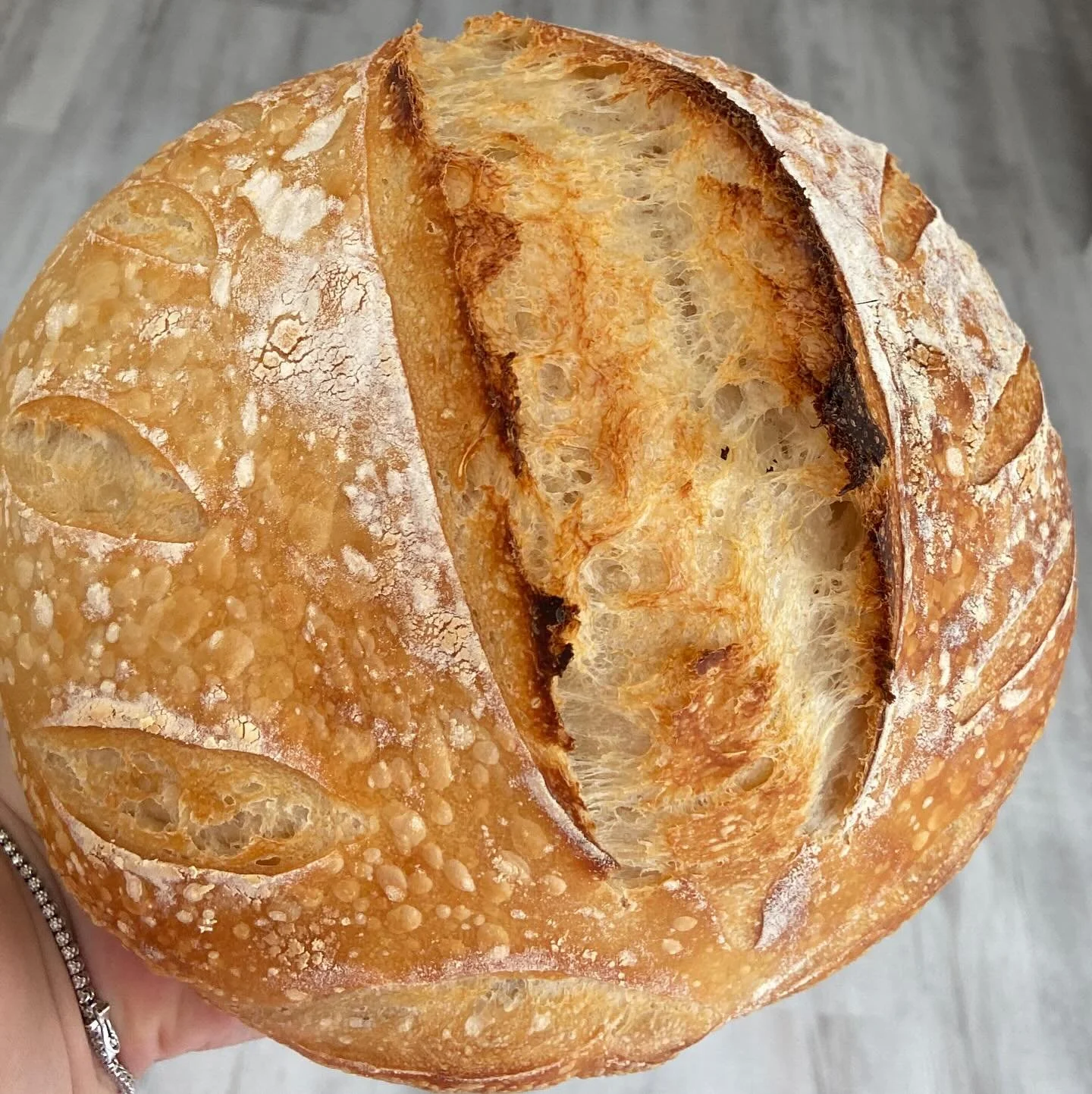 Classic Sourdough #sourdough #sourdoughbread  #sourdoughofinstagram #microbaker #oloaf #earoftheloaf