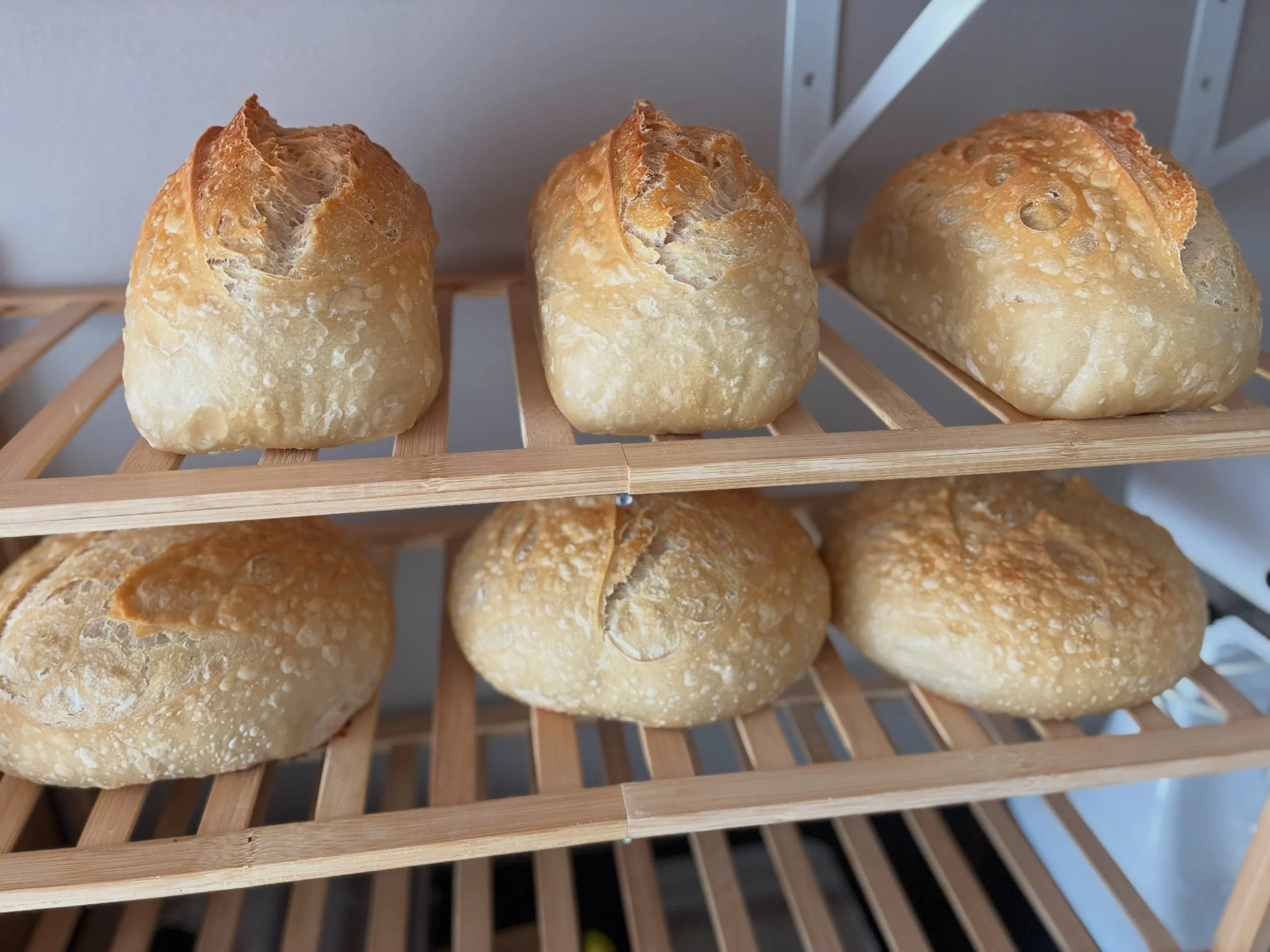 Some of this weeks bakes! #microbakery #sourdough #sourdoughofinstagram #licensedbaker #lucianasleaveningloaves