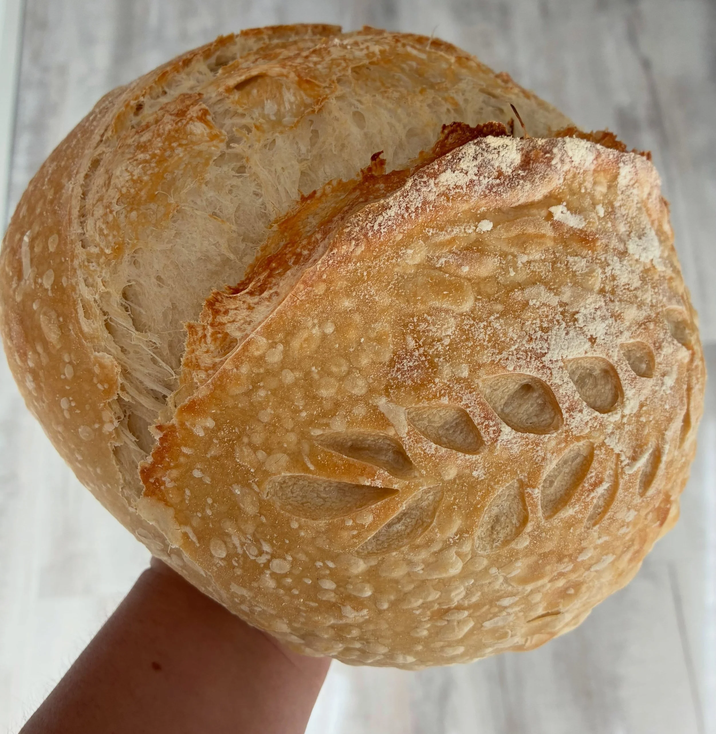 Classic sourdough 🤎 #sourdough #microbaker #lucianasleaveningloaves #sourdoughbread #licensedbaker 👩🏻&zwj;🍳🙏🏽🥖