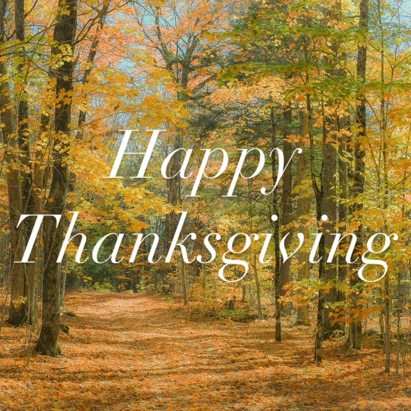 Happy Thanksgiving! We are beyond grateful as we reflect on the incredible love and support we have received with the launch of Farmer and Sailor. Every message, every share and kind word has meant the world to us. From the bottom of our hearts- than