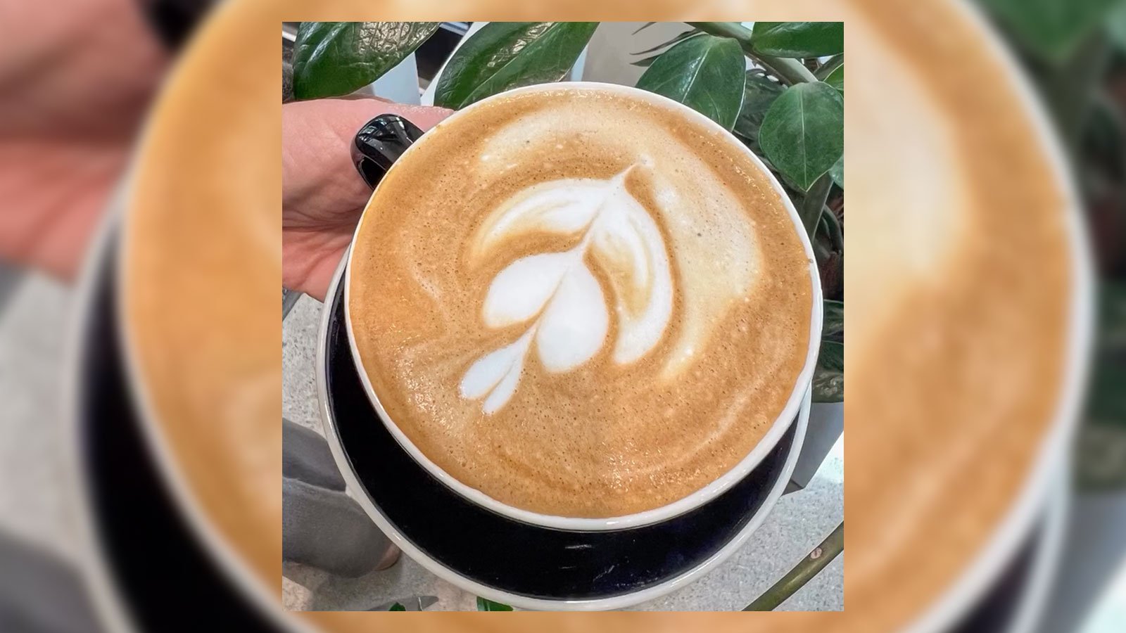 The Friday Find: Threshold Cafe