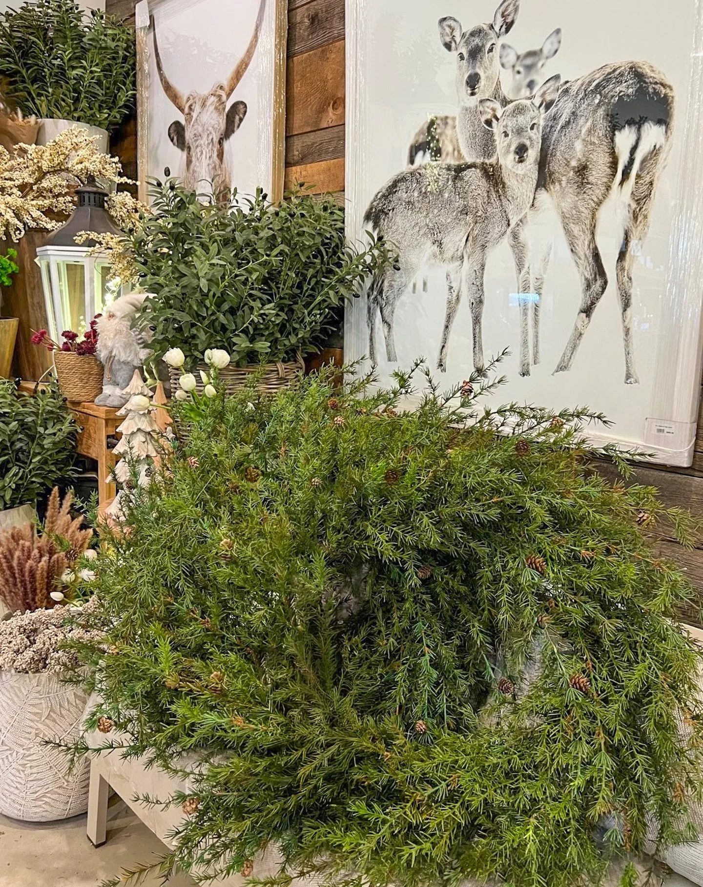 This week&rsquo;s treasure is a 39&rdquo; Faux Spruce Wreath from Sandhill Nursery in Huntsville, Ontario and it is truly stunning. Lush, full, and beautifully crafted, it brings that timeless winter greenery indoors (or out) without any of the fuss.