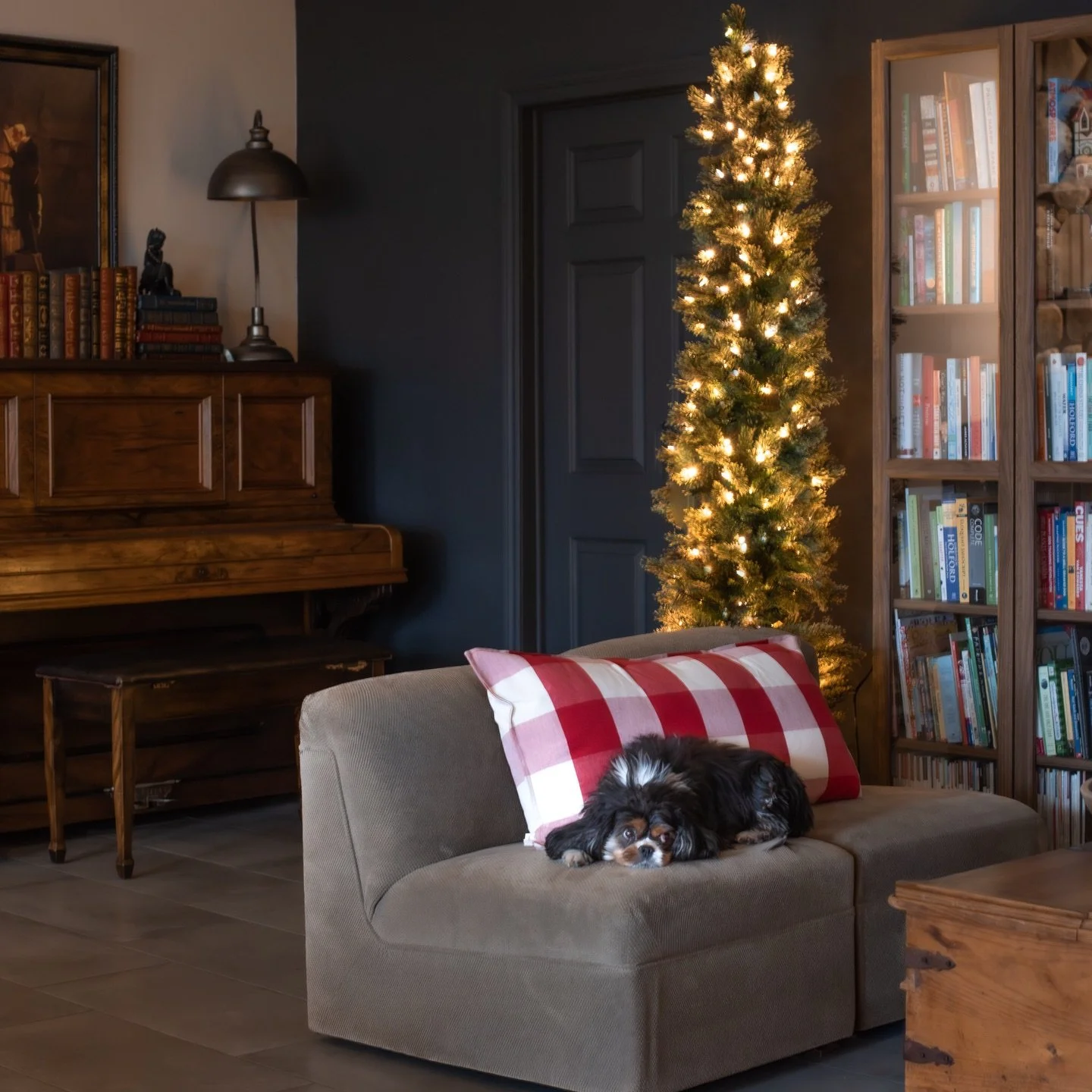 #TheFridayFind this week is the Ashland 7 ft Pre-lit Cashmere Pencil Tree from Michaels. Regularly $250 and currently on sale for $79.99. It&rsquo;s the perfect little tree for a smaller spot, beautifully shaped with just the right amount of softness